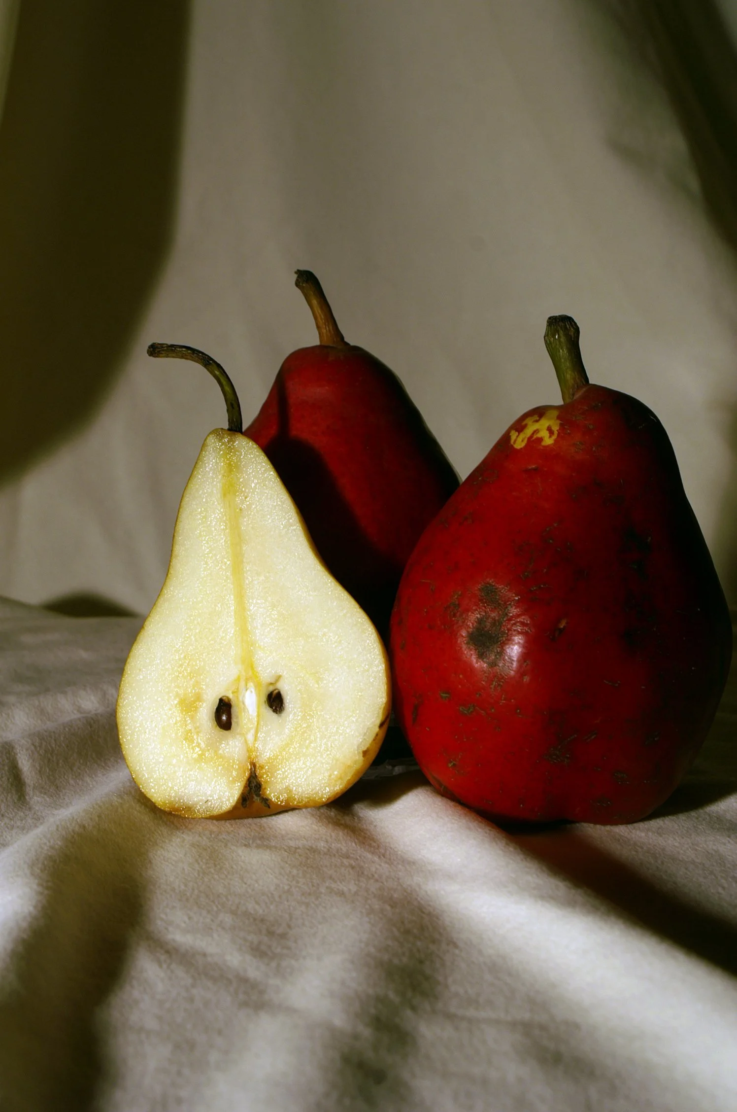 pears.jpg
