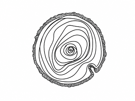 Tree ring icon for the Design phase of the ALL CHANGE journey