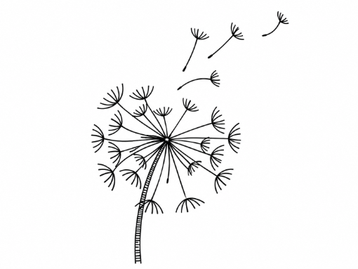 Dandelion releasing seeds, representing the Deploy phase.