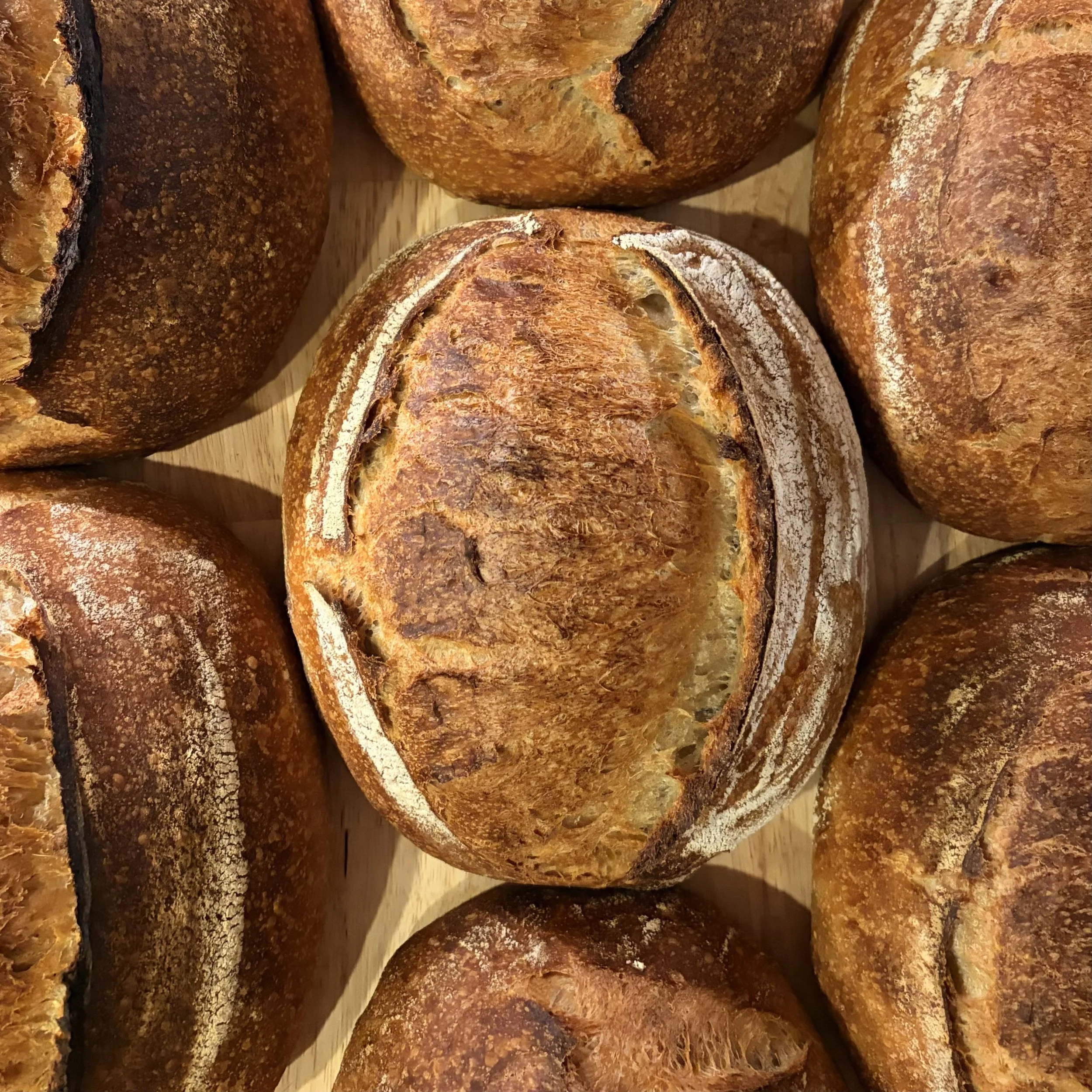 IMG_0107.jpeg (Copy)