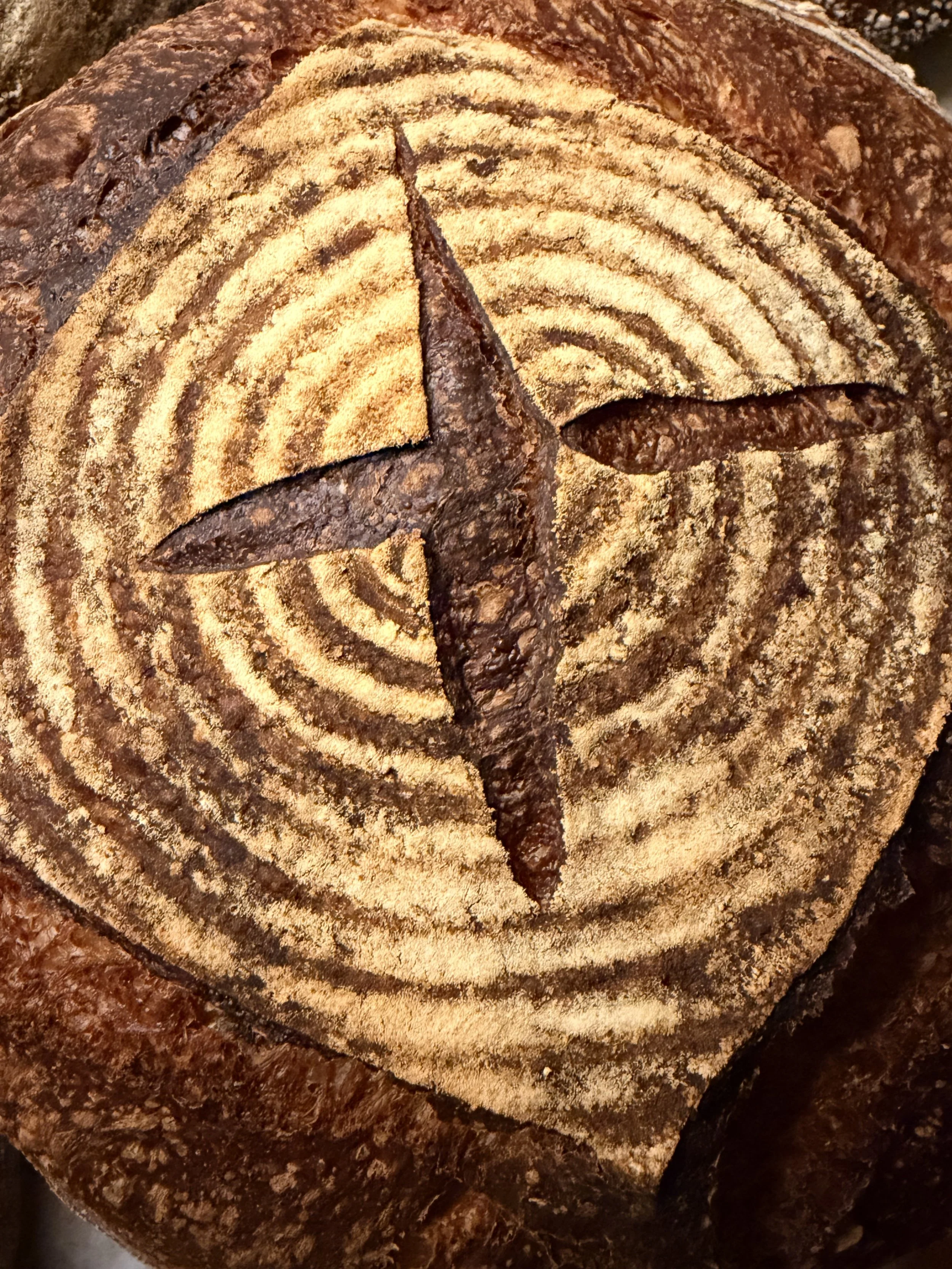 IMG_0664.jpeg (Copy)