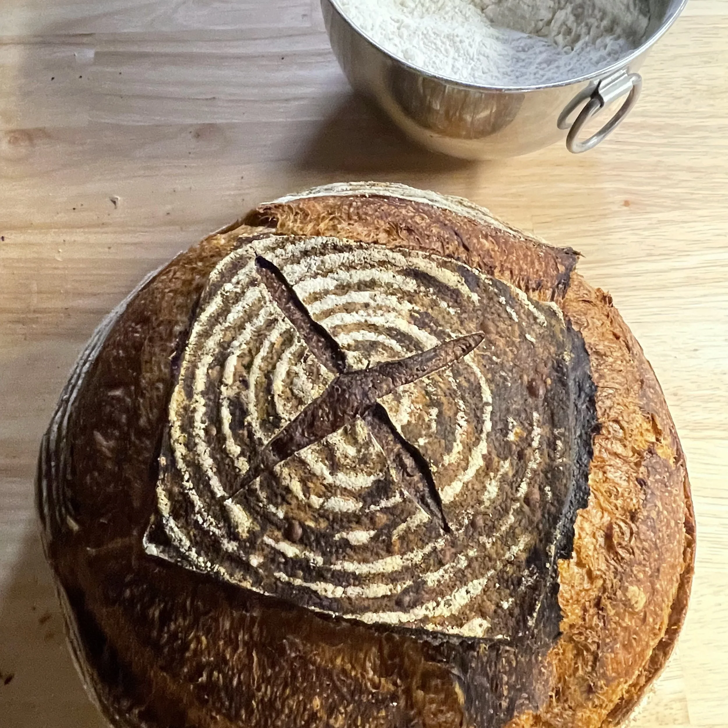 IMG_9350.jpeg (Copy)