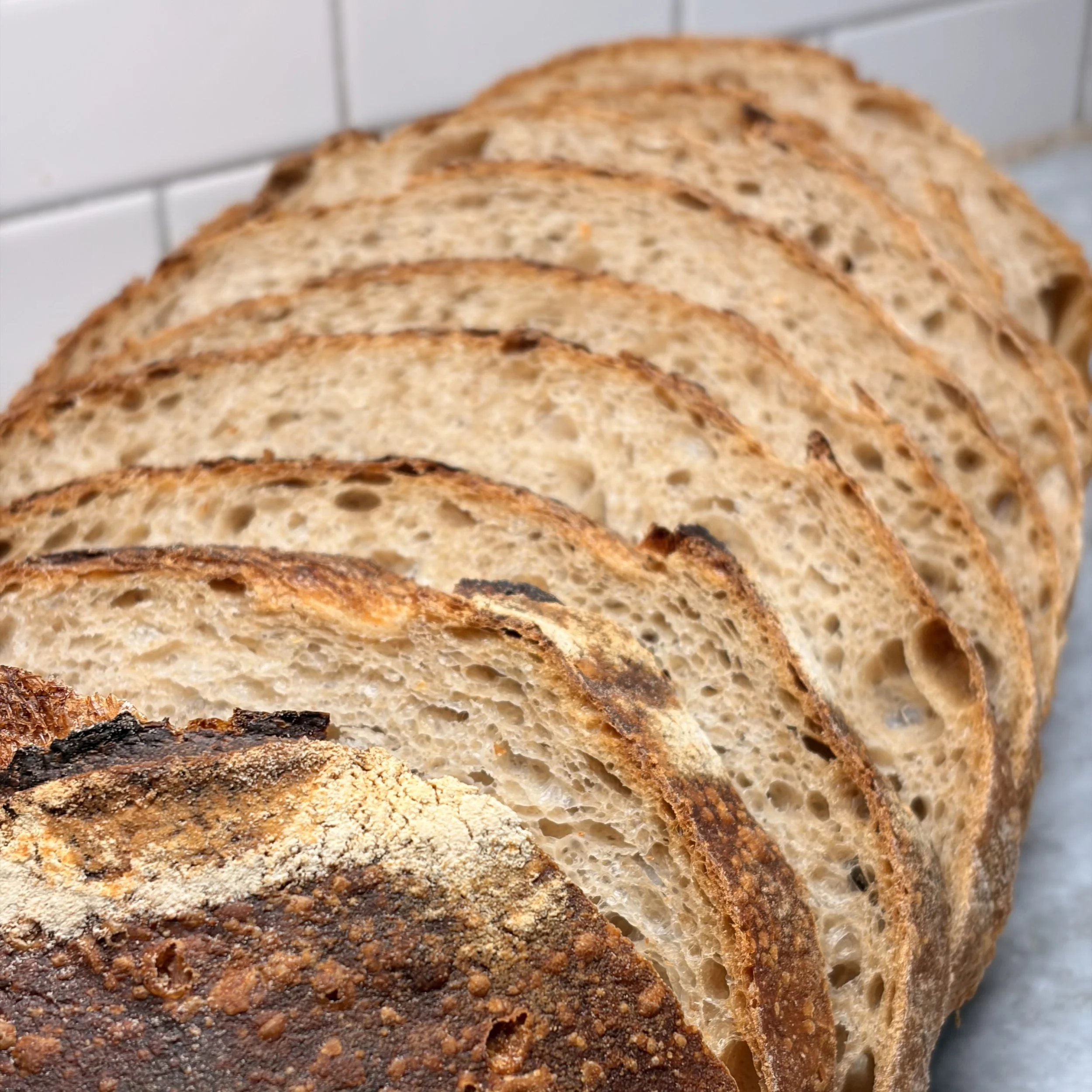 IMG_0157.jpeg (Copy)