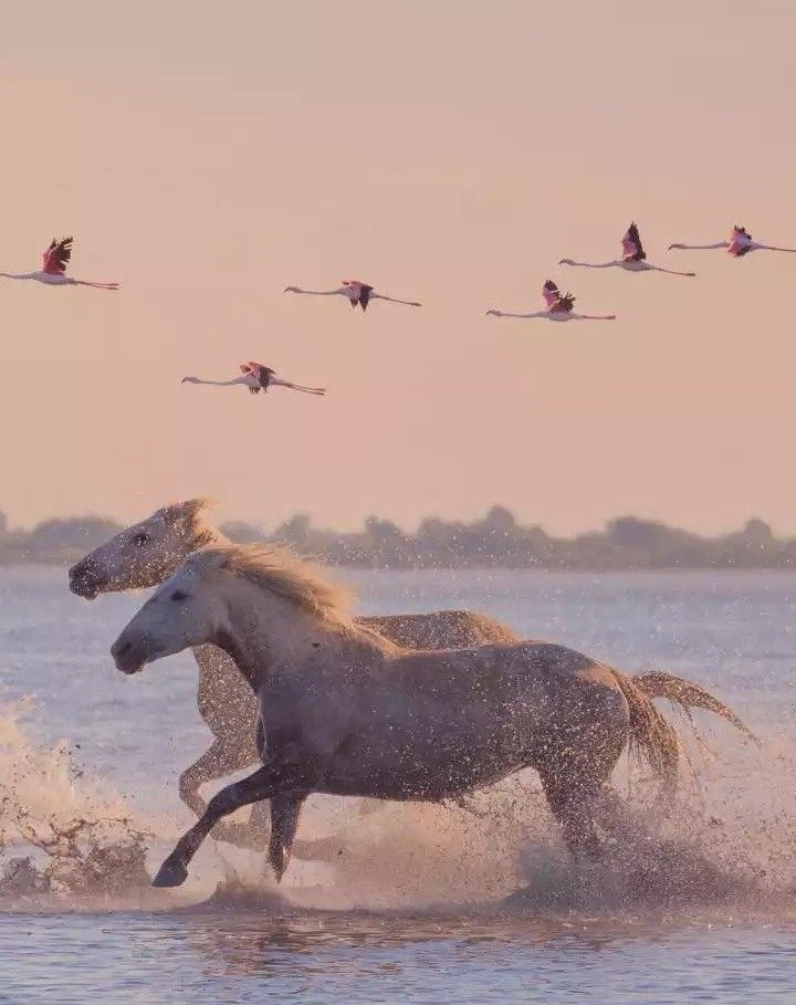 Keep seeing 11:11, feathers, or animals with perfect timing? 🪶🐾🧲🍀

Those signs aren&rsquo;t random. The Universe is speaking.

In my latest blog, discover how to recognize synchronicities, trust your intuition, and ask for the message your soul n