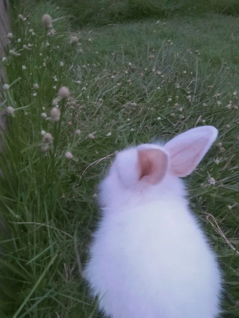 Most people don&rsquo;t realize this&hellip;but this time of year always carries a very specific kind of energy.

And if your life feels a little off right now&hellip;like things don&rsquo;t fit the way they used to. Like certain people feel differen