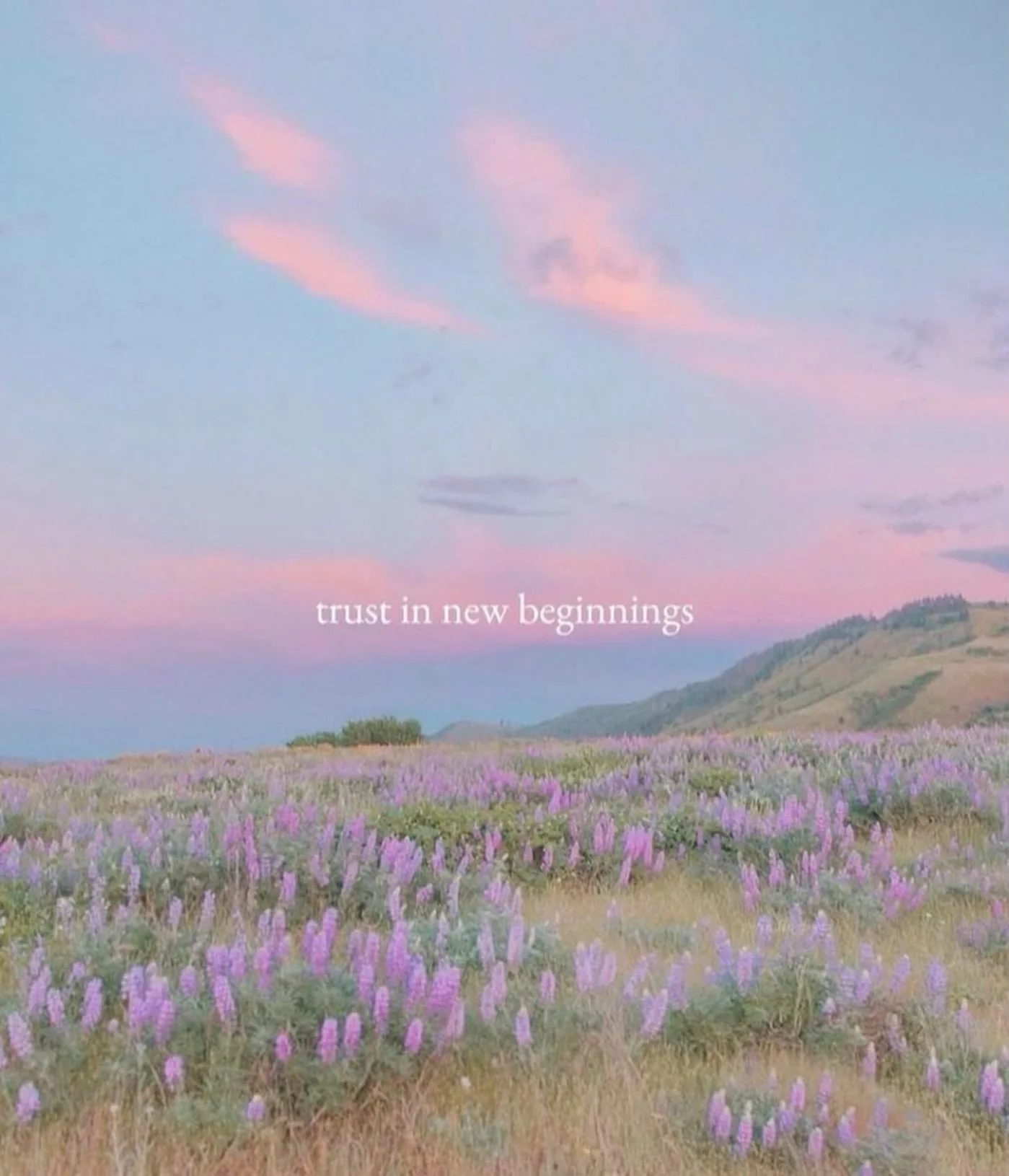 This season is an invitation &mdash; to shed the old and step into something new. A time to realign, refresh, and reconnect &mdash; with ourselves, with nature, and with what truly matters.

#newbeginnings #spiritualawakening #renewal #trusttheproces