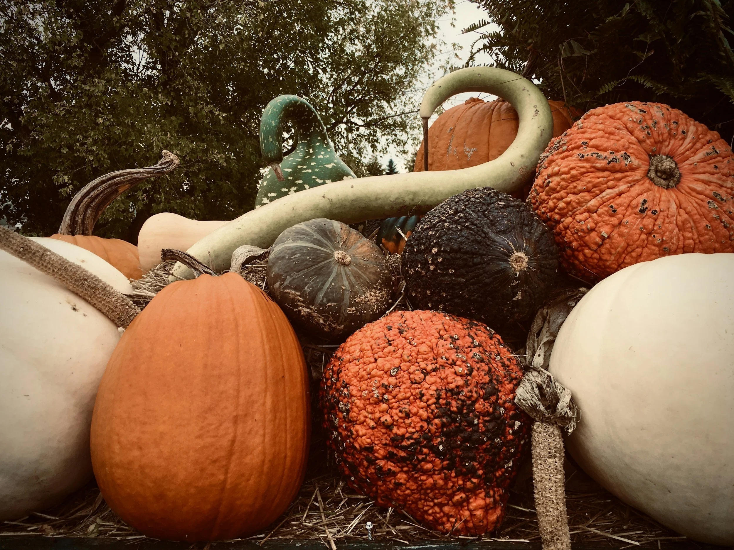 Fall Equinox 2026: Spiritual Meaning, Grounding Rituals &amp; the Season to Slow Down