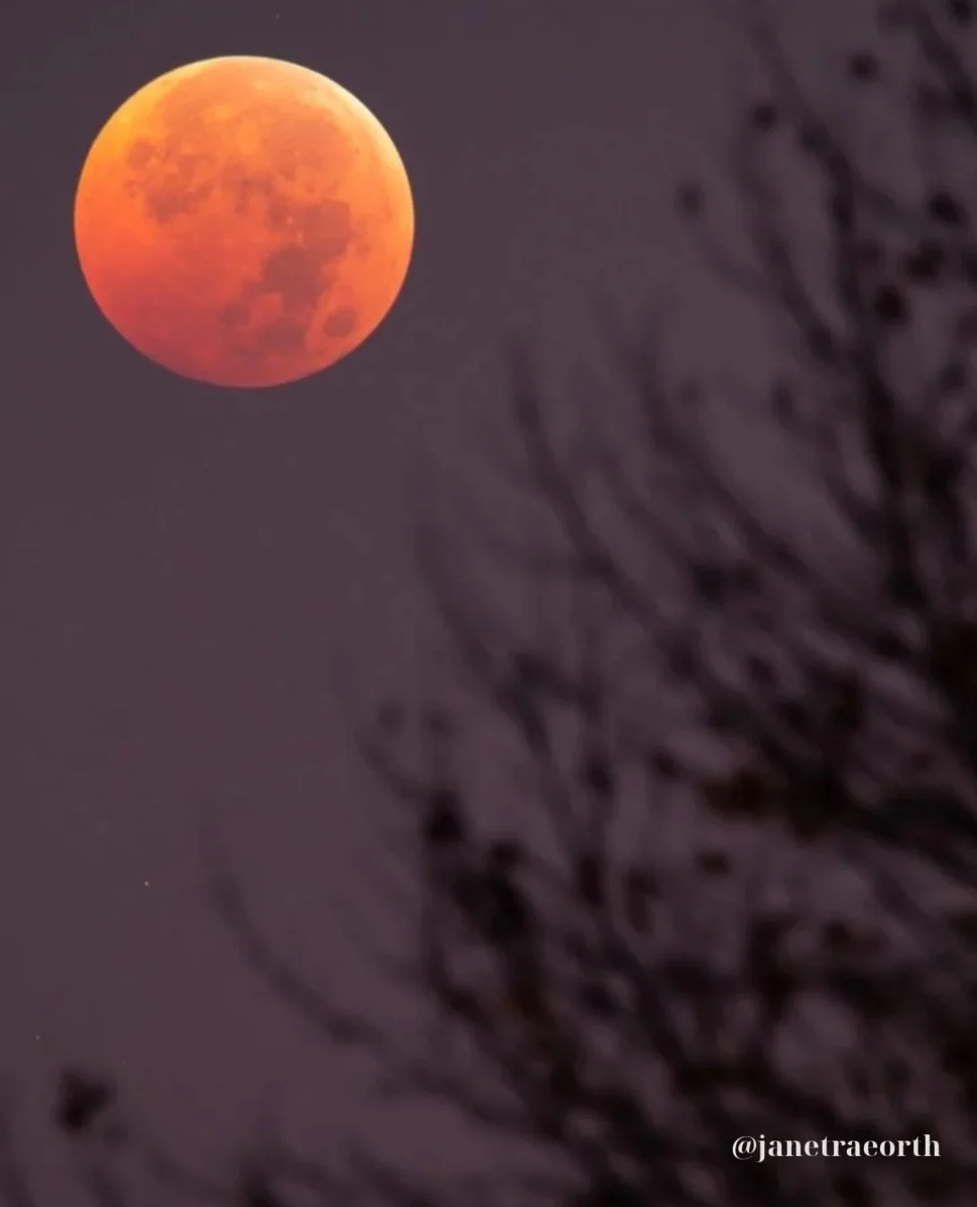 🌕 Hunter&rsquo;s Moon &mdash; October 25, 2026 ♉

This full moon isn&rsquo;t asking you to hold on tighter.
It&rsquo;s asking what you&rsquo;re afraid will happen if you let go. 🍂

The Hunter&rsquo;s Moon rises in Taurus, opposite the Sun in Scorpi