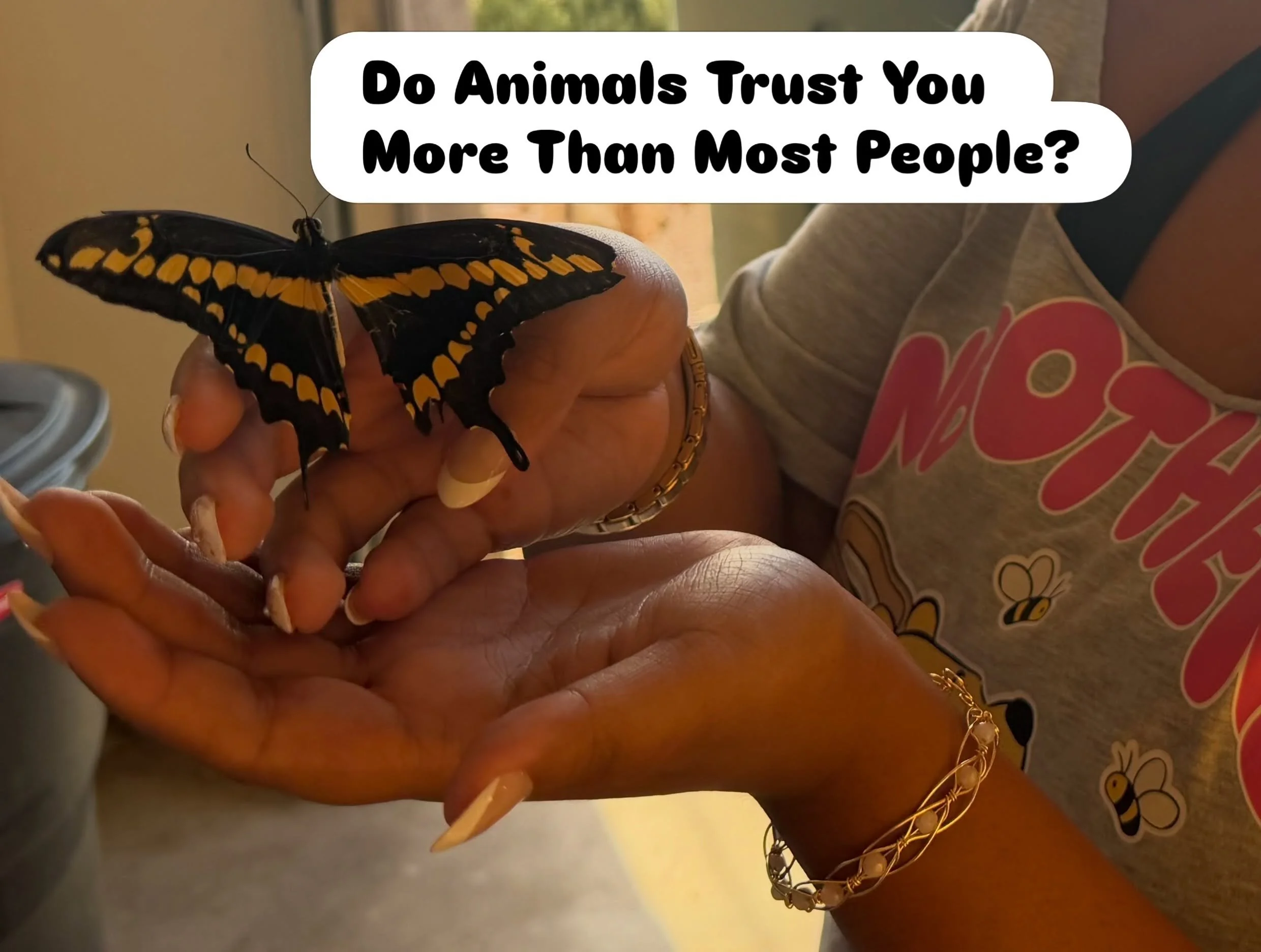 Have you ever noticed that wild animals seem unusually comfortable around you? 🦋

A butterfly lands on your hand and stays.
A group of deer stops and watches instead of running away.
A lone coyote meets your eyes and doesn&rsquo;t run.

All three ha