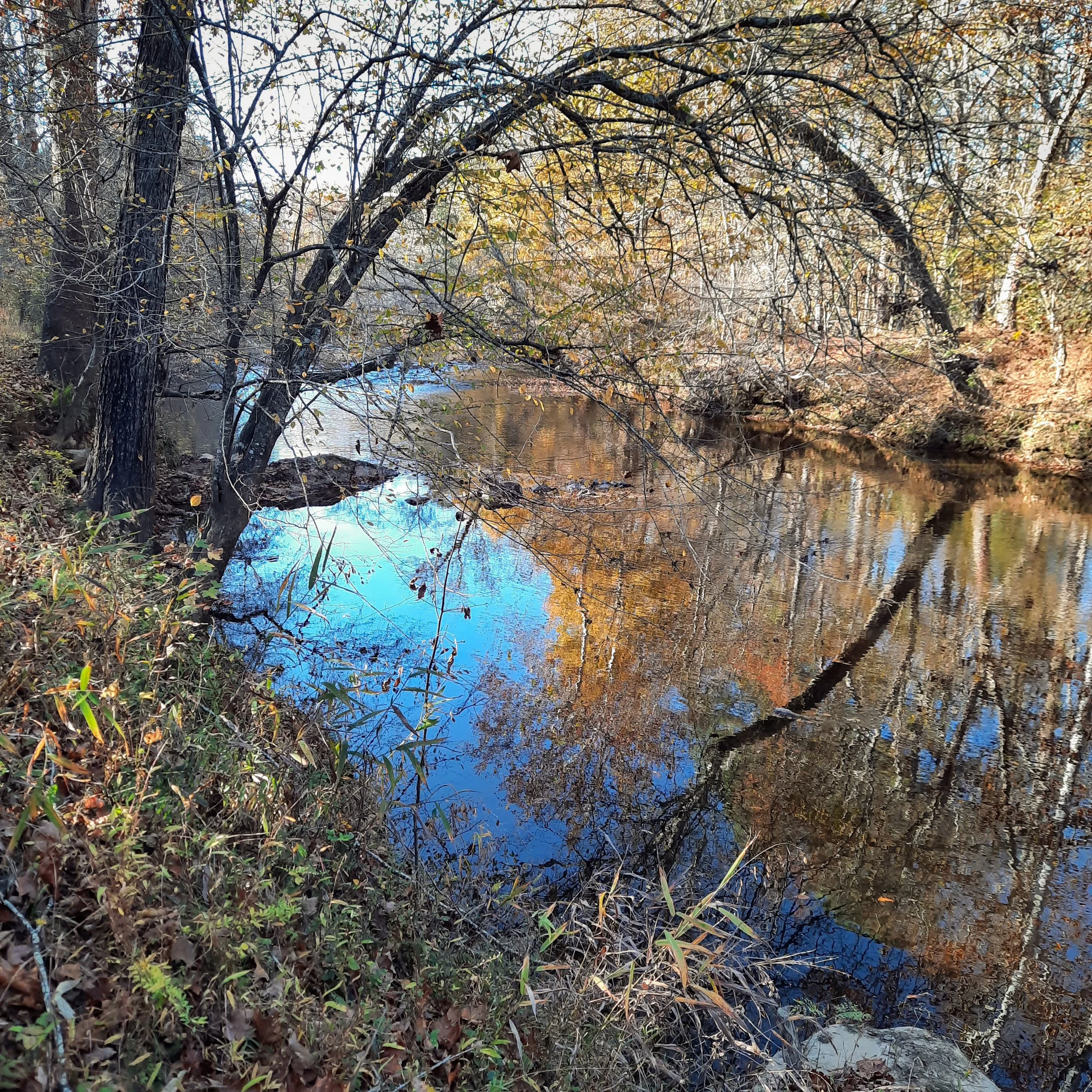 Reflections From the Banks of the Eno River