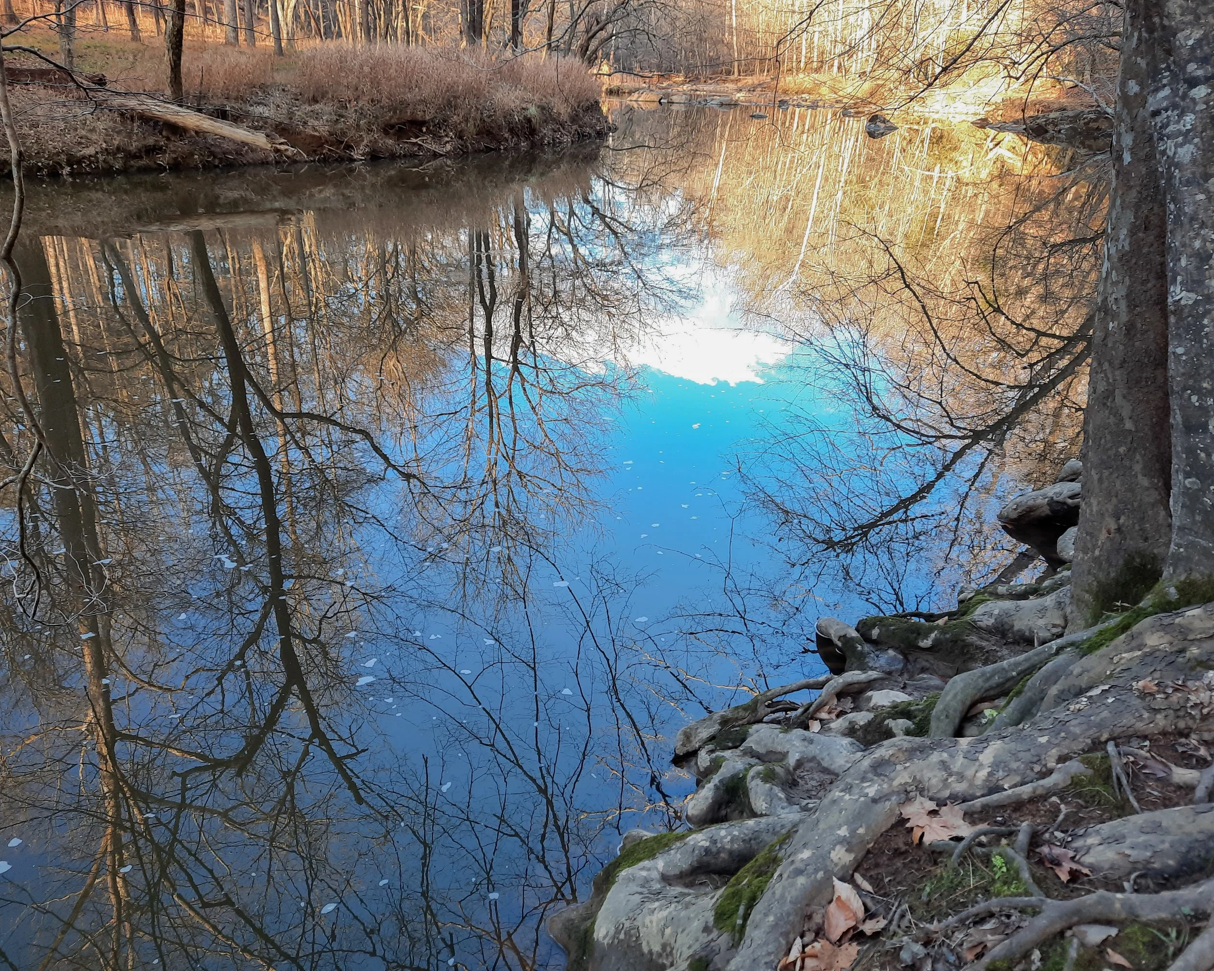 153438c3_CoxMtnTrail_JHeilman.jpg