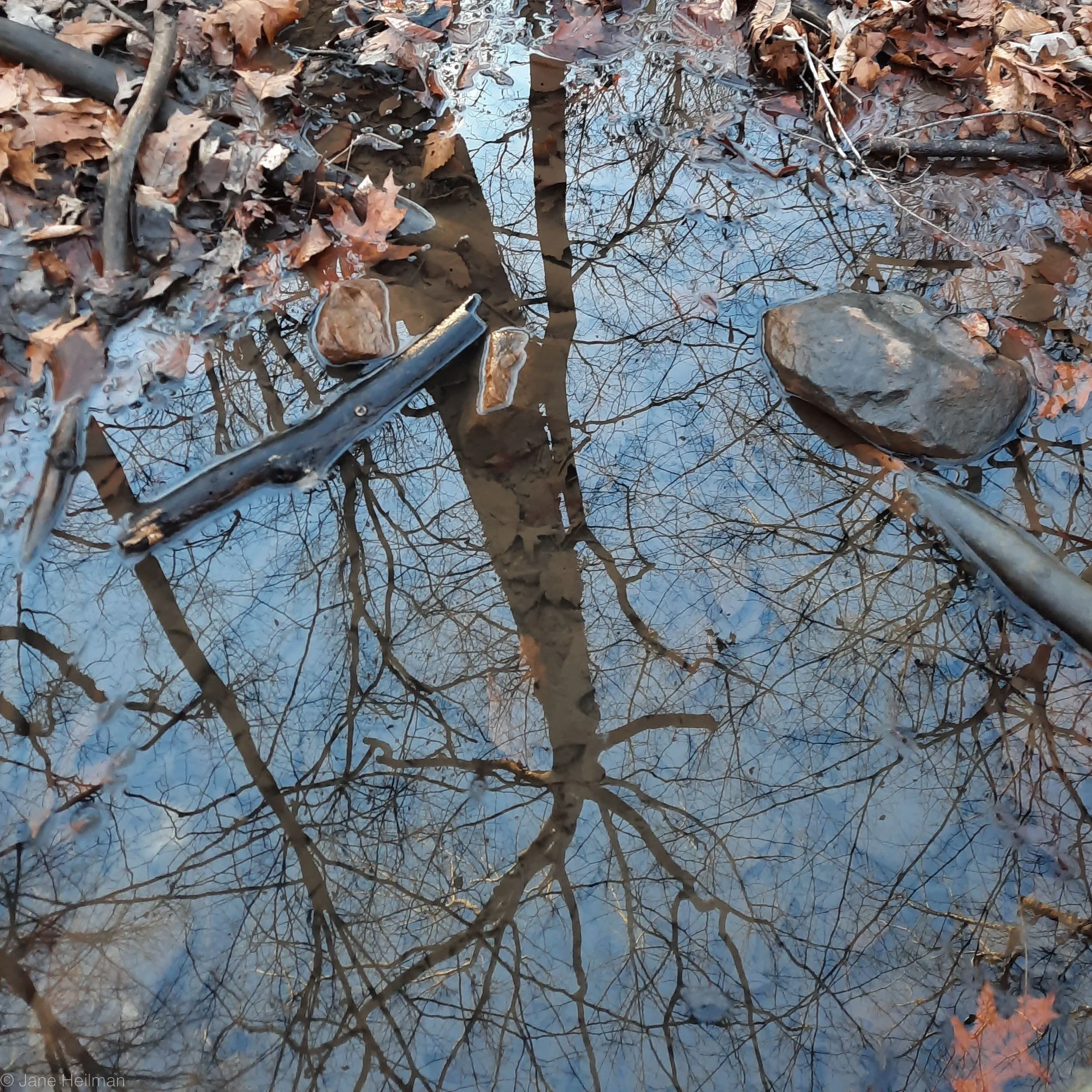 Compositions with Water