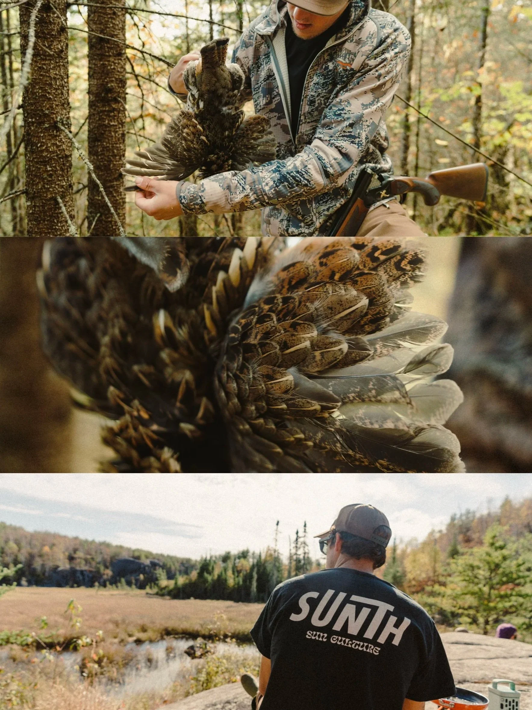 Grouse hunting in the Sunth Staple T