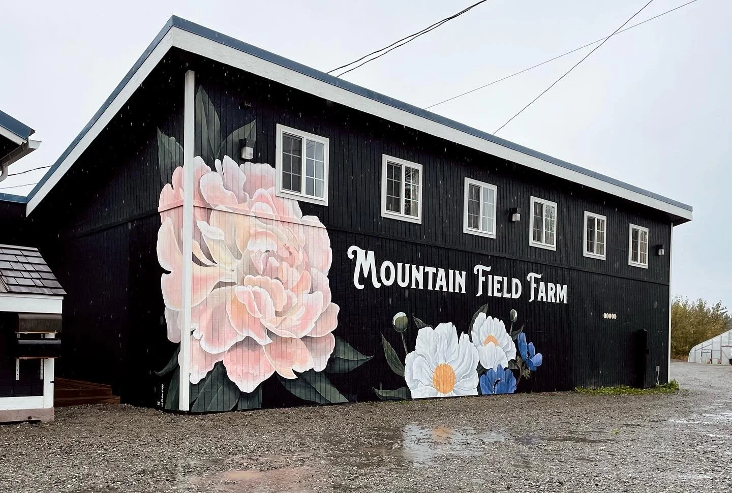 Mountain Field Farm - Palmer, Alaska. 2022.