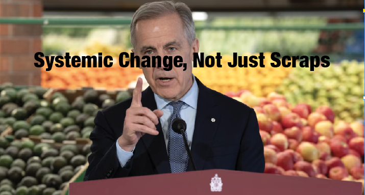 Response to Mark Carney’s Affordable Food Announcement: The Right to Food. Why it Matters.