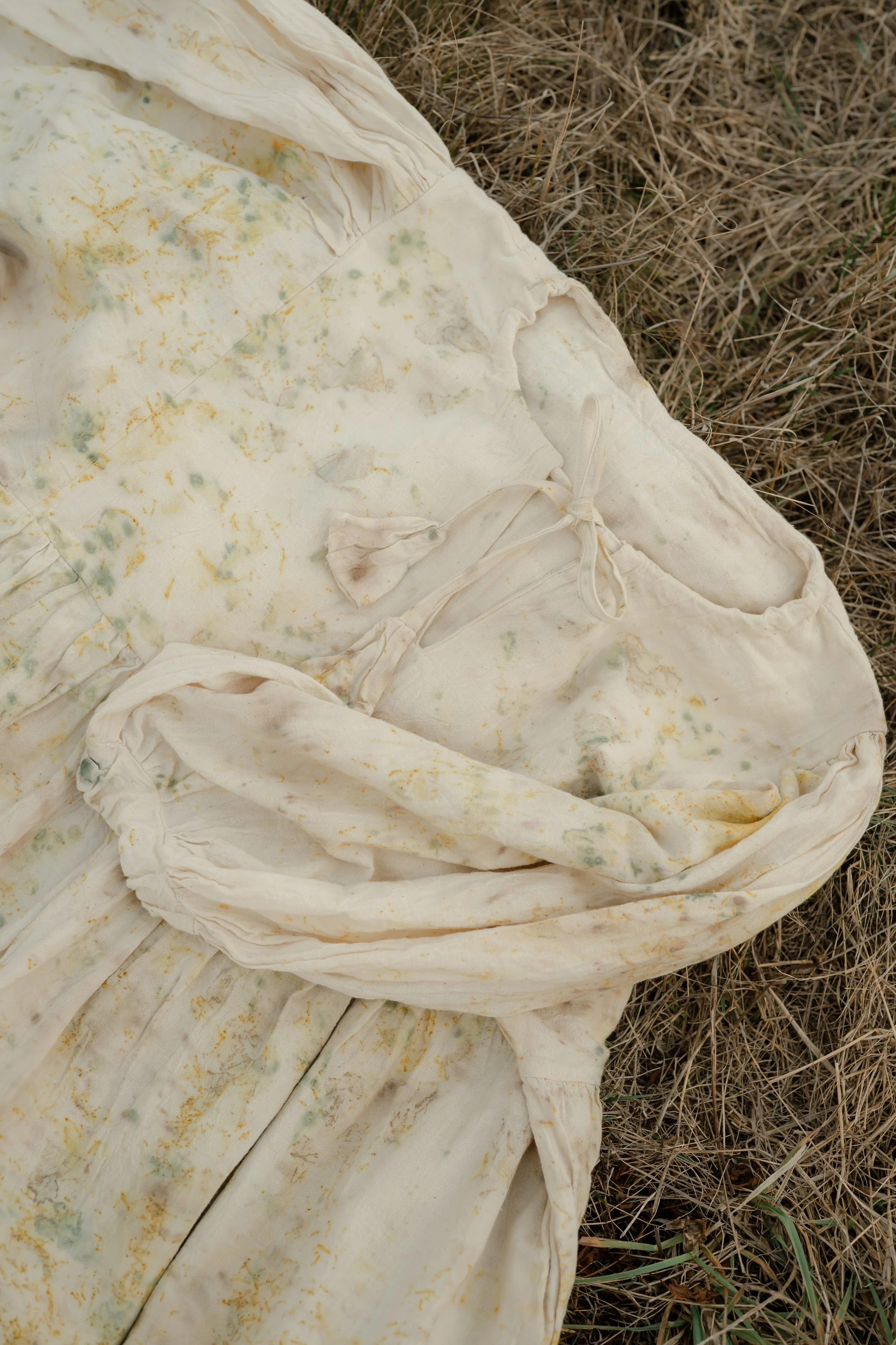 AV3_7354.jpg