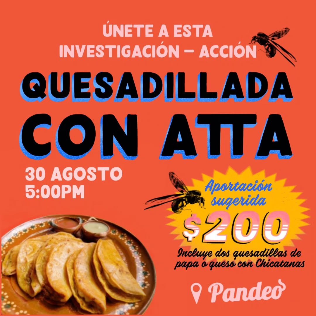 Quesadillas con Atta