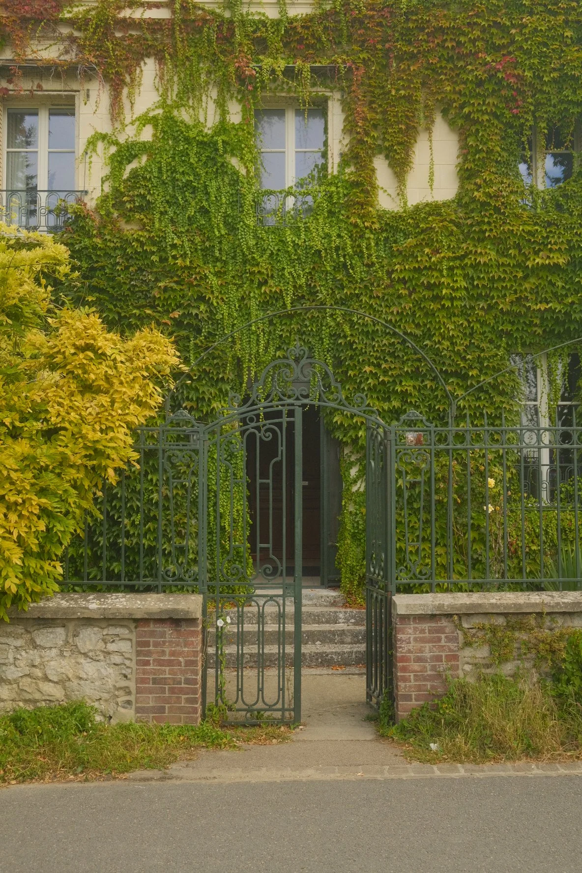 A house covered in green ivy and plants, with two windows on the upper floor and a black wrought iron gate at the entrance.