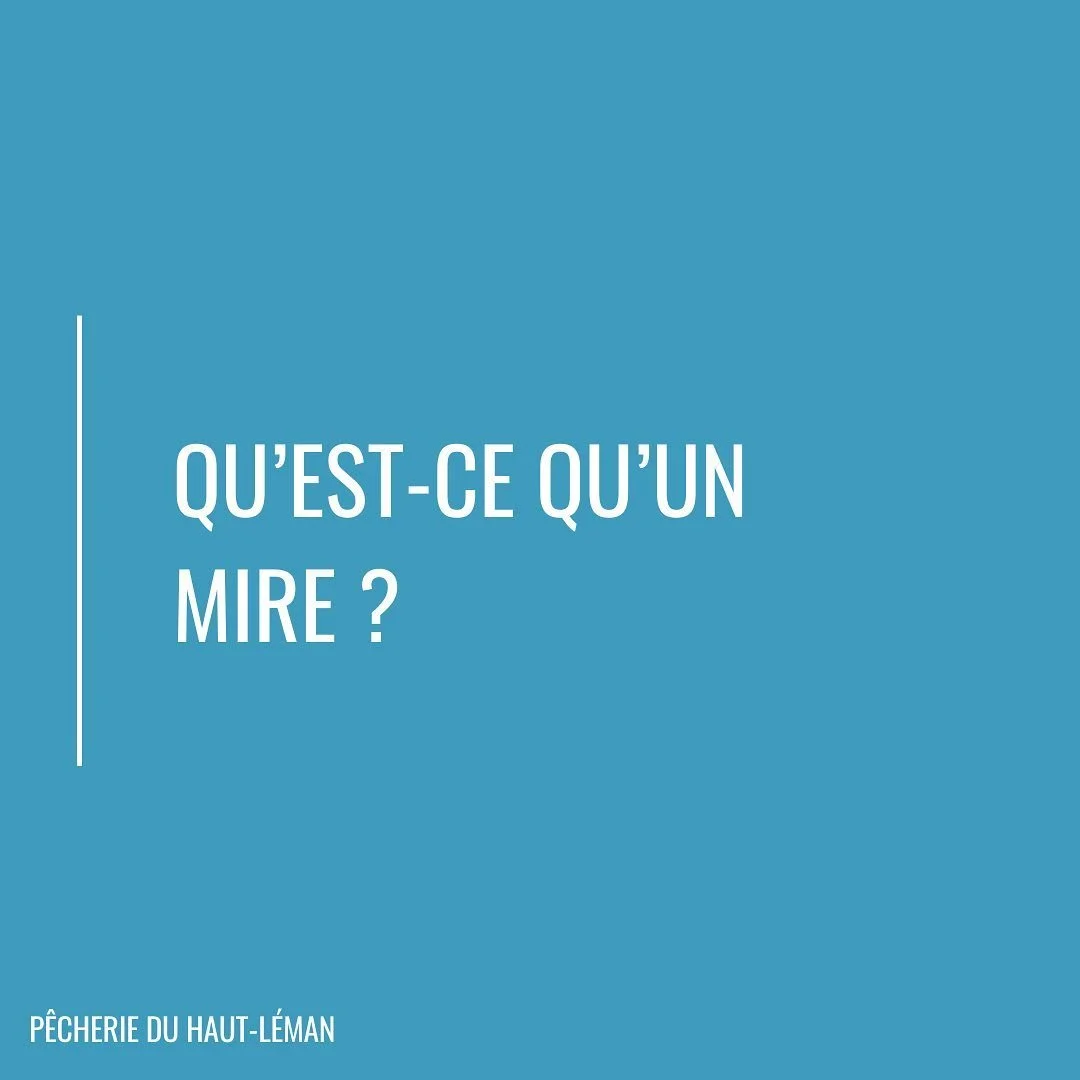 Connaissais-tu cette technique ? 👀