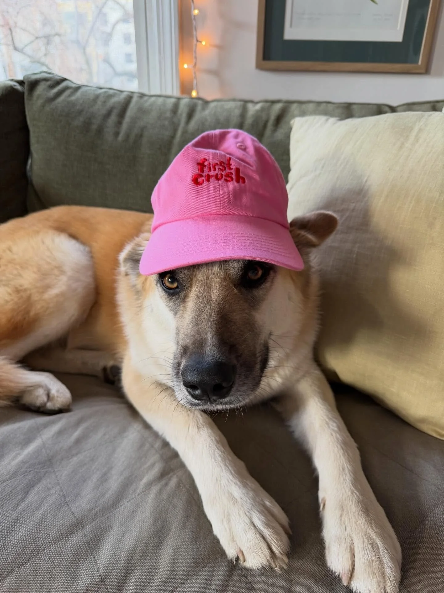 HATS!!!! Soft &amp; cute!!!! Adjustable! About 6 available. Purchase online and we&rsquo;ll reach out to arrange pickup. And we&rsquo;ll get shipping set up for our next merch drop, coming soooooon 👀💕