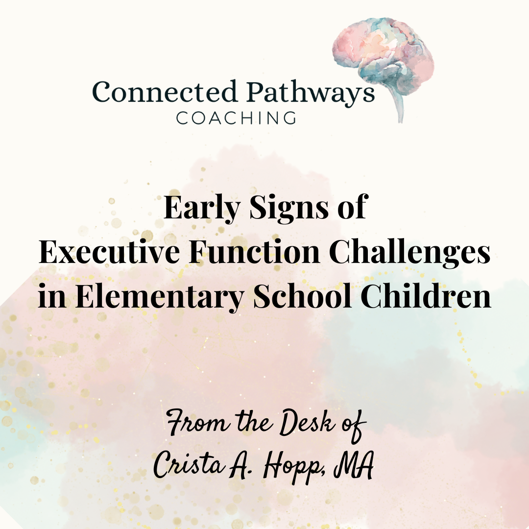 Early Signs of Executive Function Challenges in Elementary School Children
