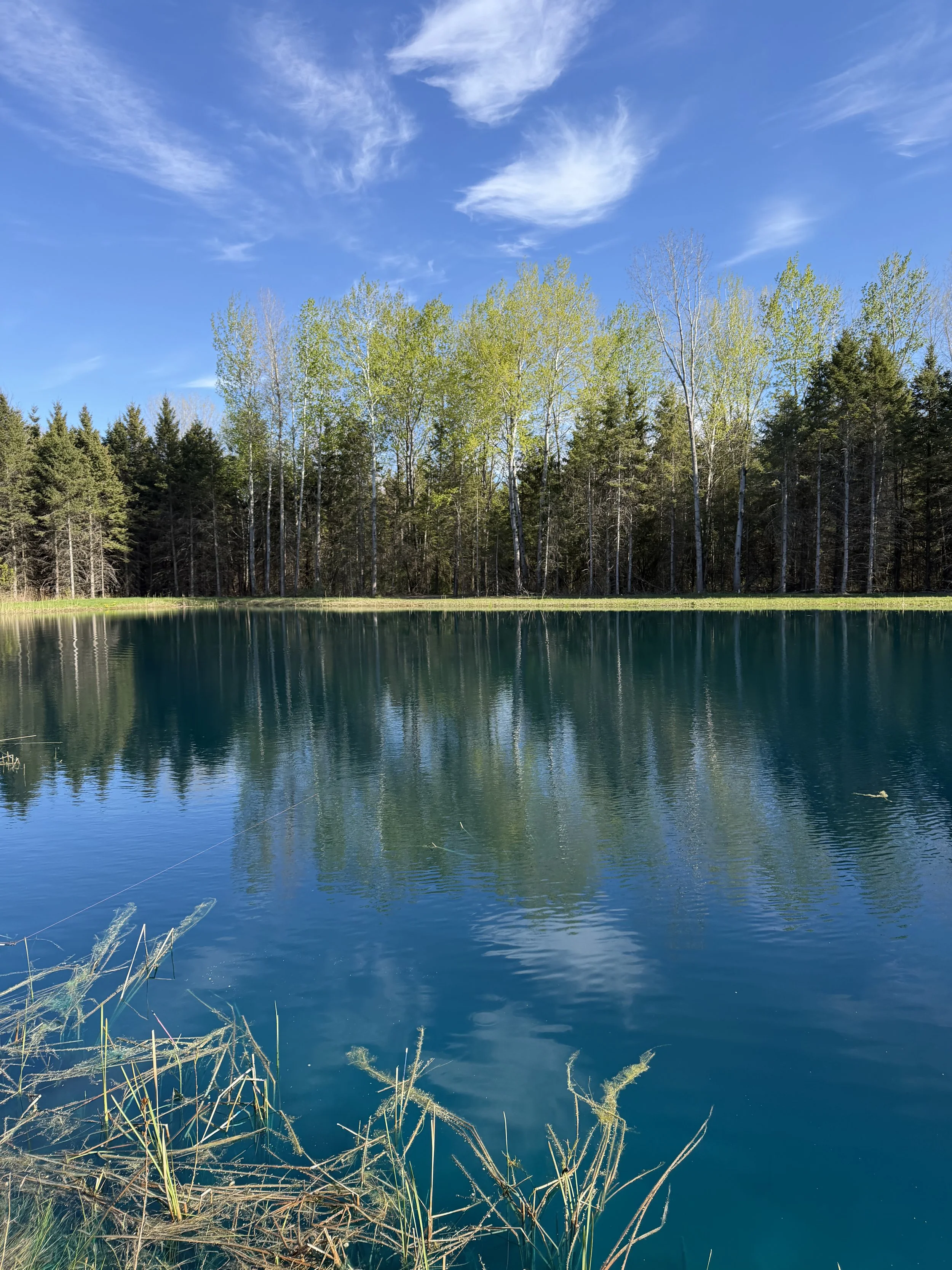 Weekly Newsletter — June 18, 2026