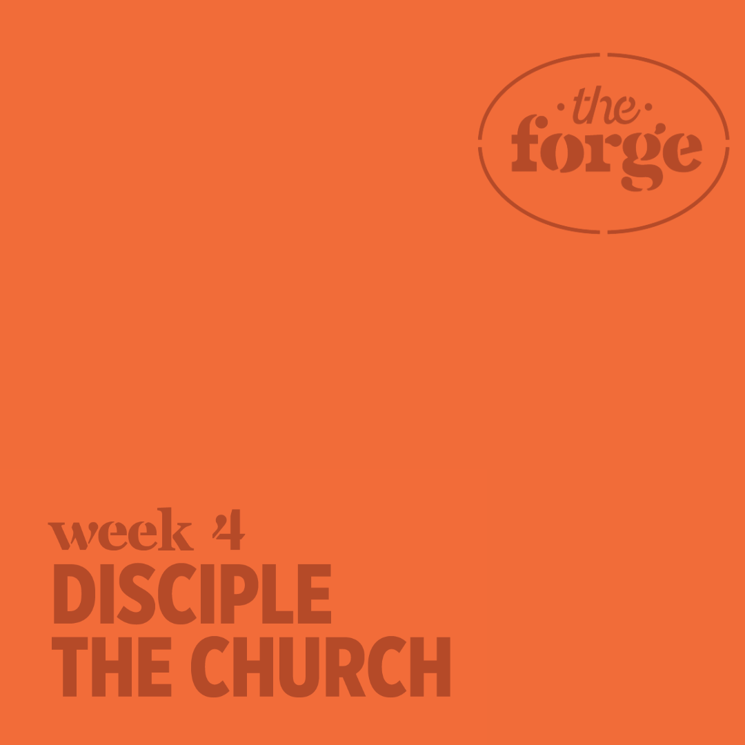 Disciple the Church