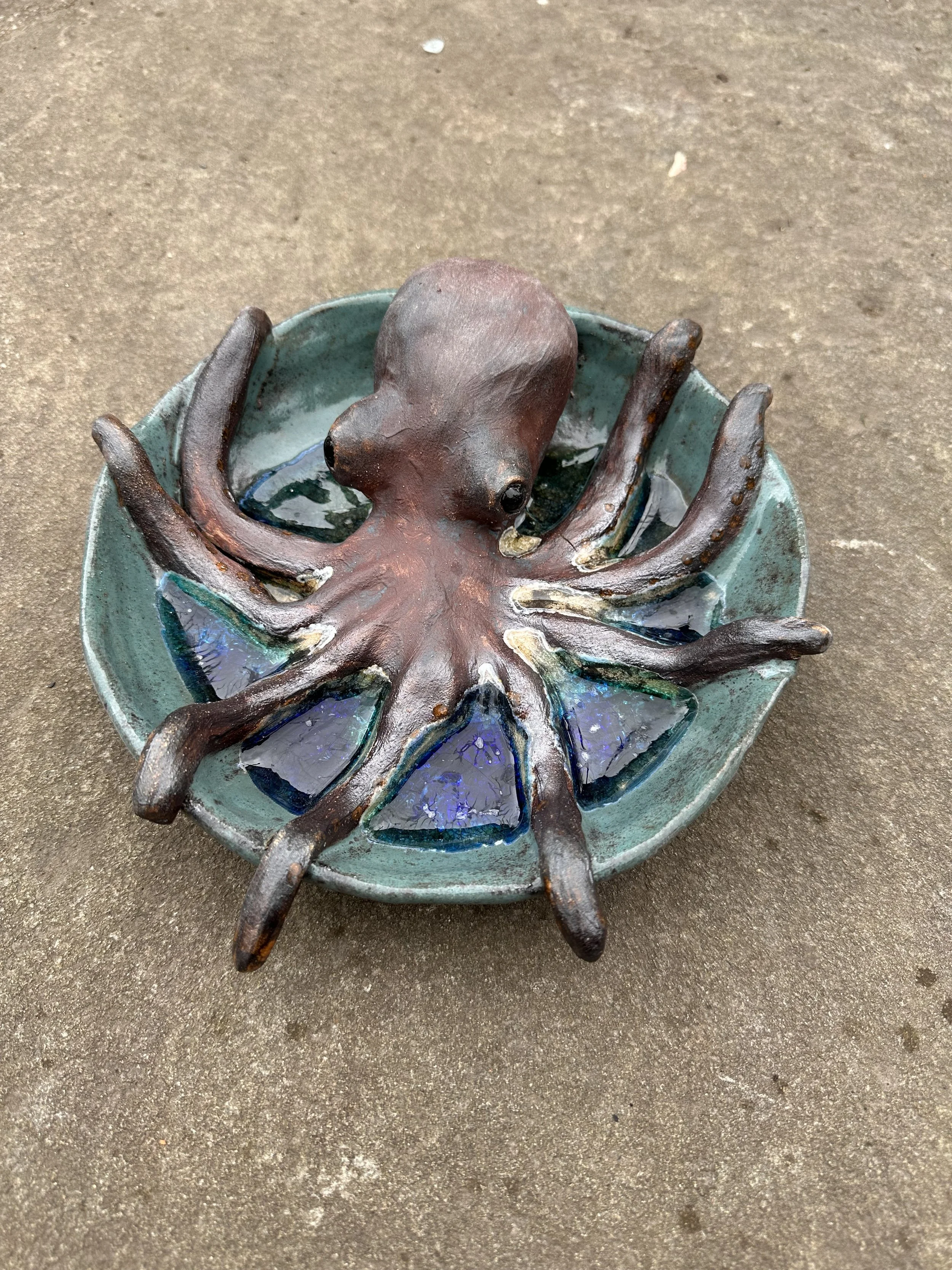 Octopus Adult Class.jpg