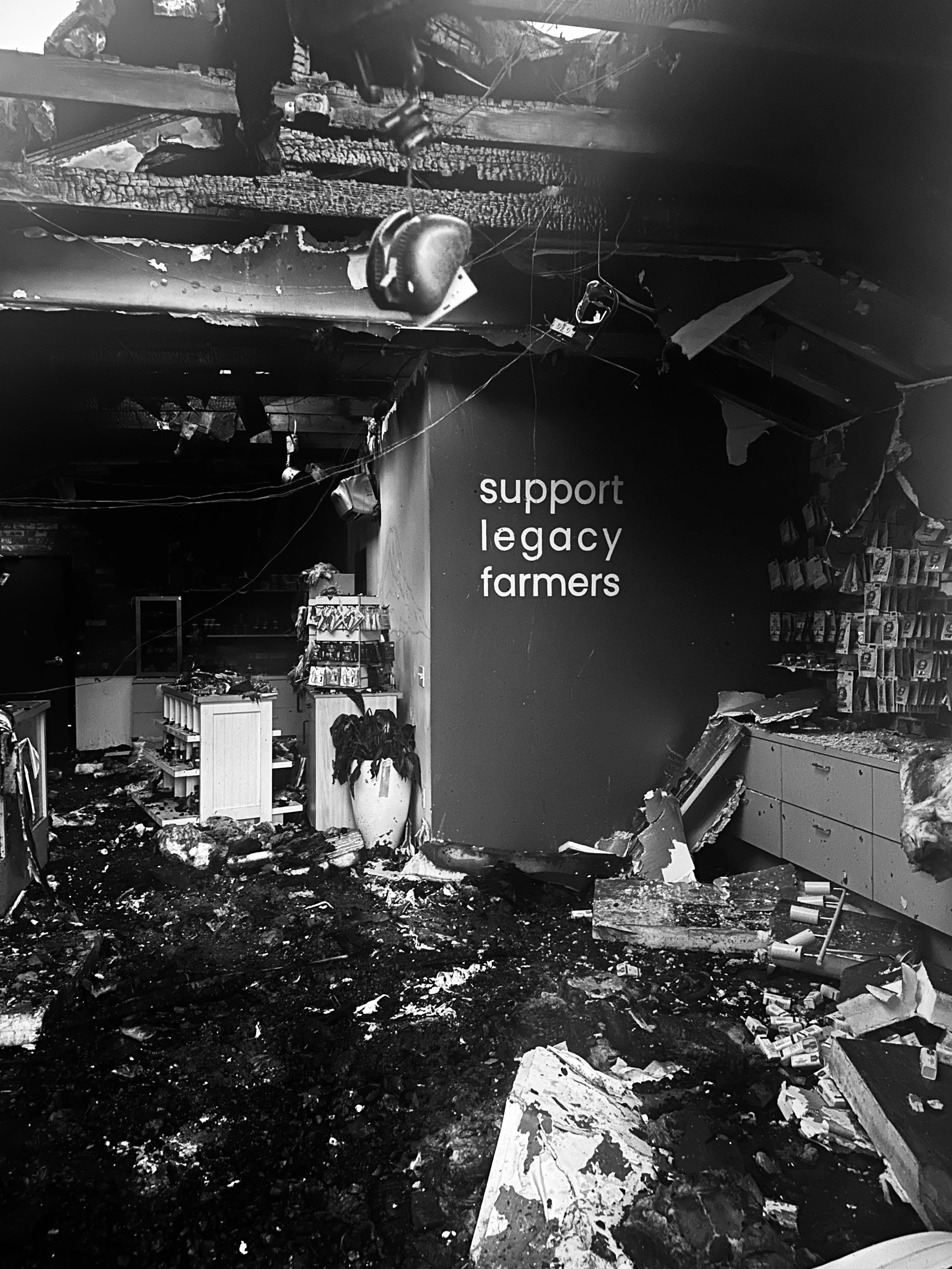 From the Ashes: Goldenhour’s Commitment to Rebuild in Weed