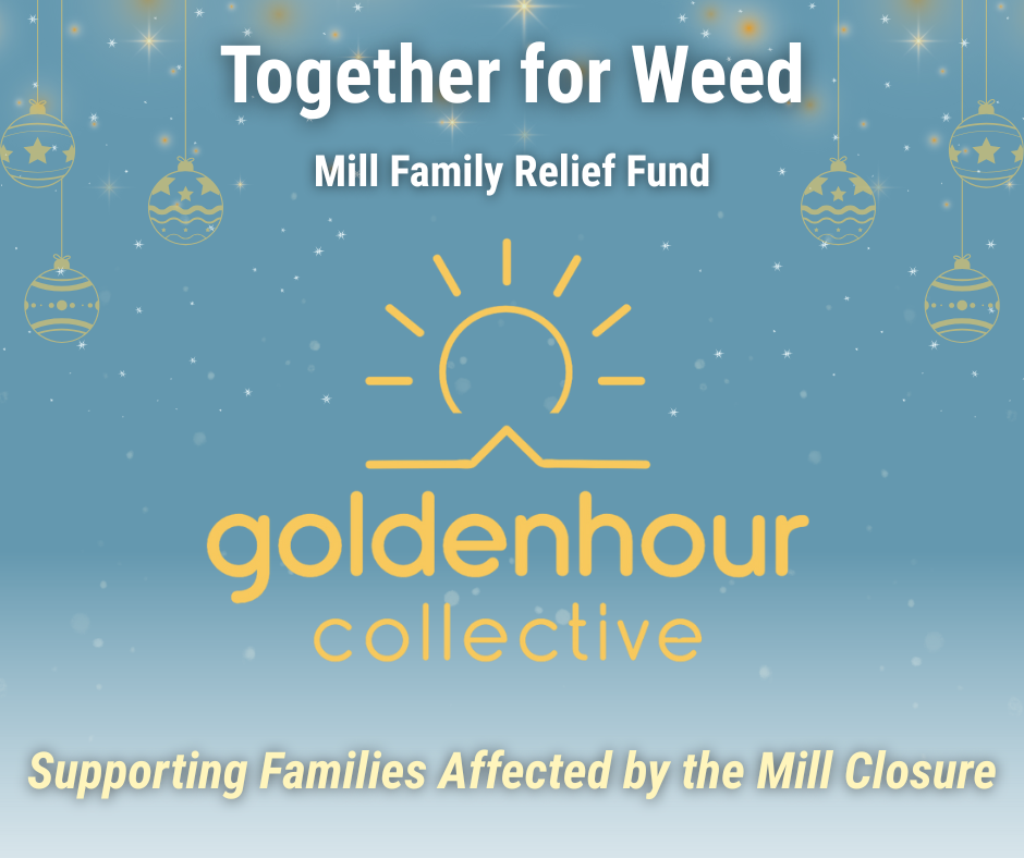 Together for Weed: Supporting Local Families This Holiday Season