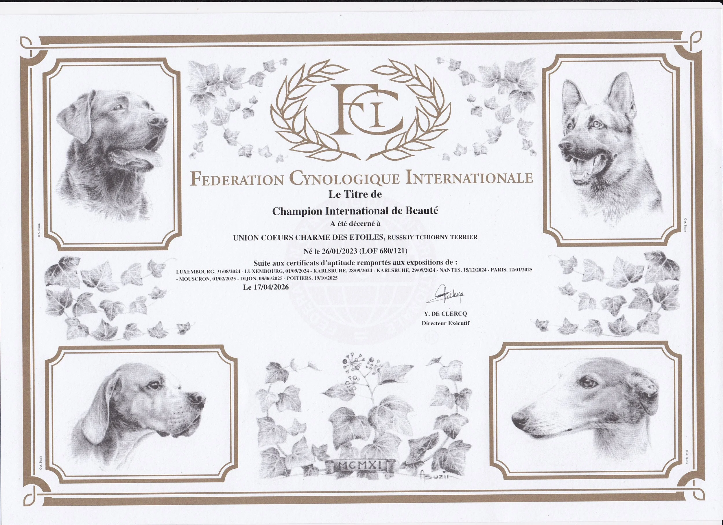 Diplome Champion International Beaute Union Coeurs Charme Des Etoiles