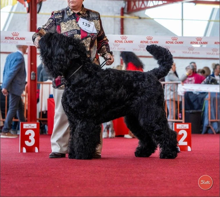 Union Coeurs Charme Des Etoiles (Usson)