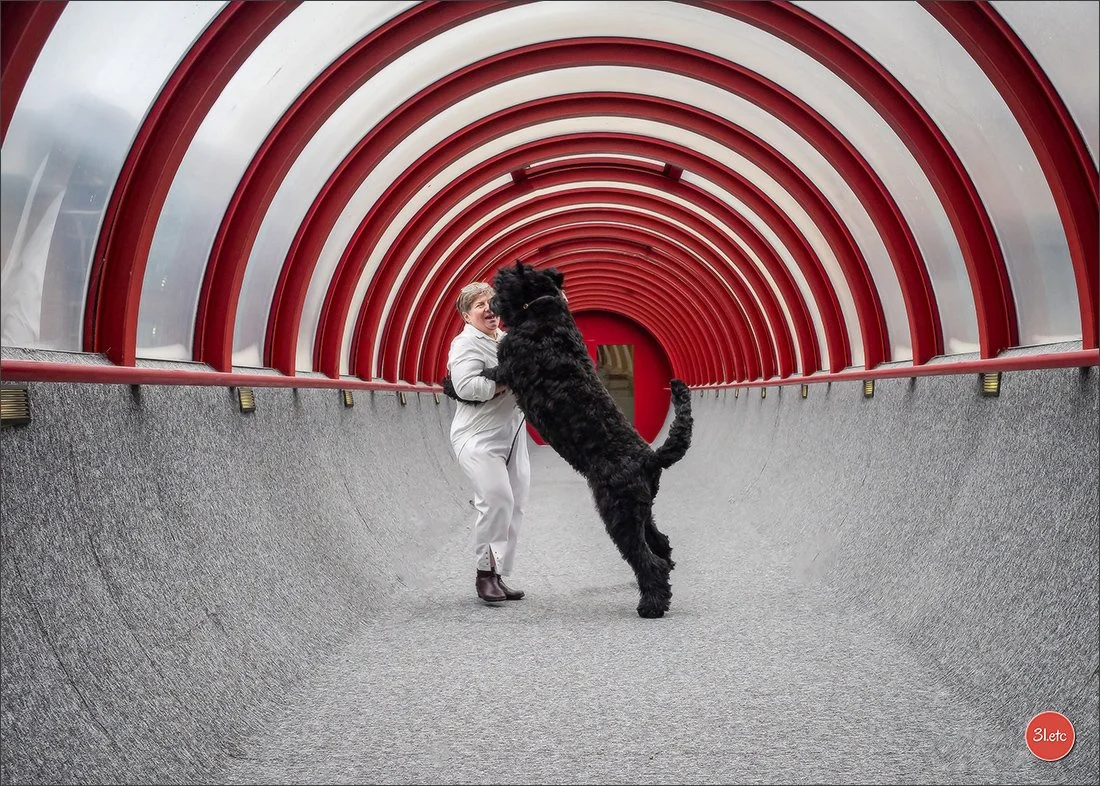 Uka Charma Des Etoiles