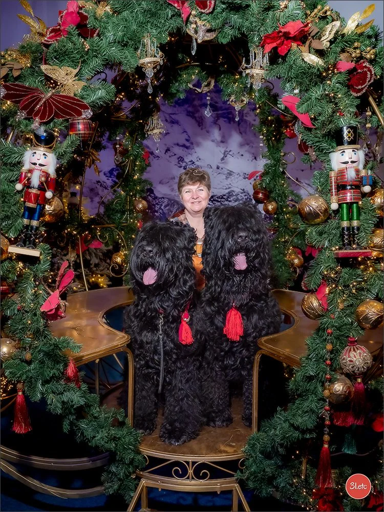 happy new year 2026 avec terrier noir russe