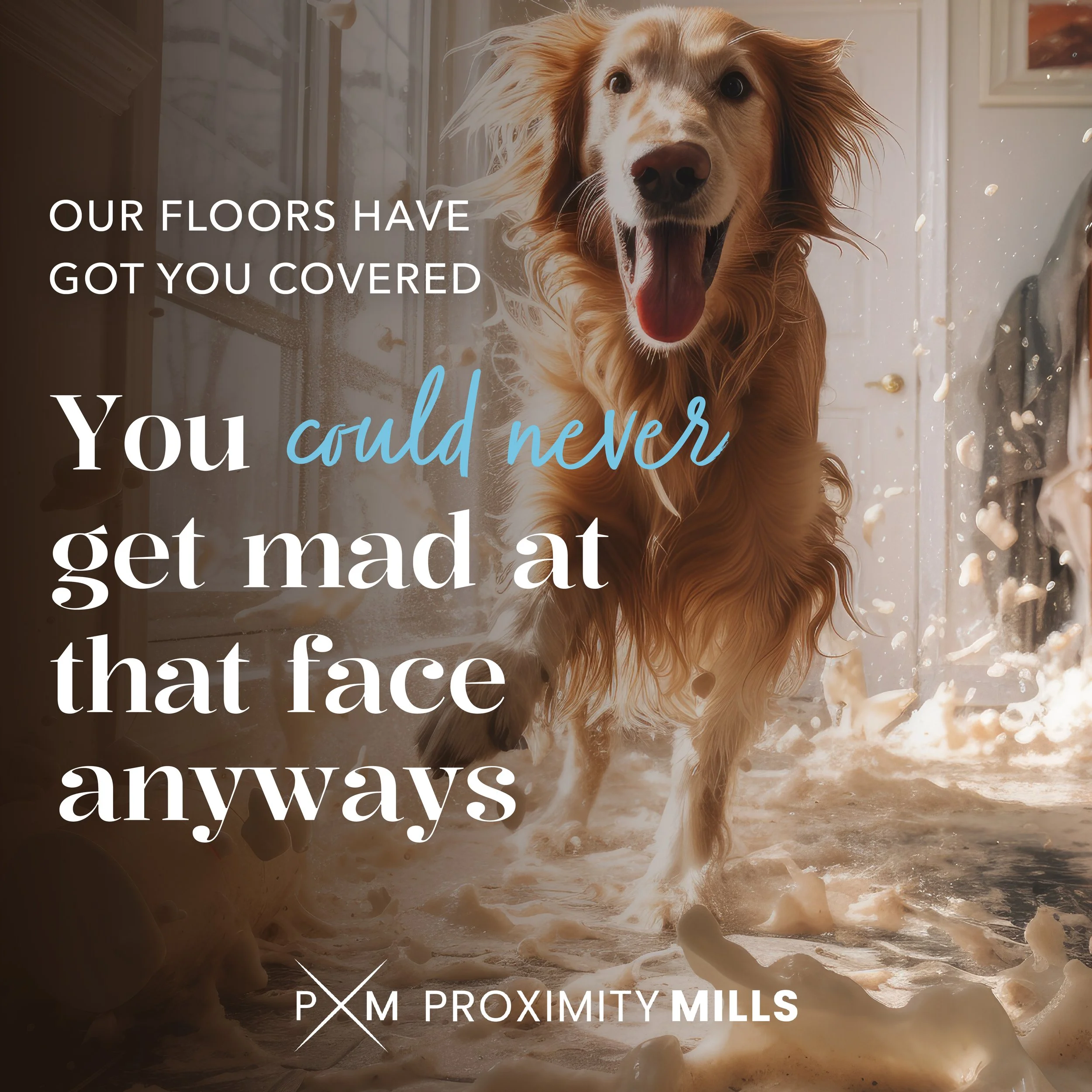 Proximity Mills | Social Media | Instagram | Messy dog