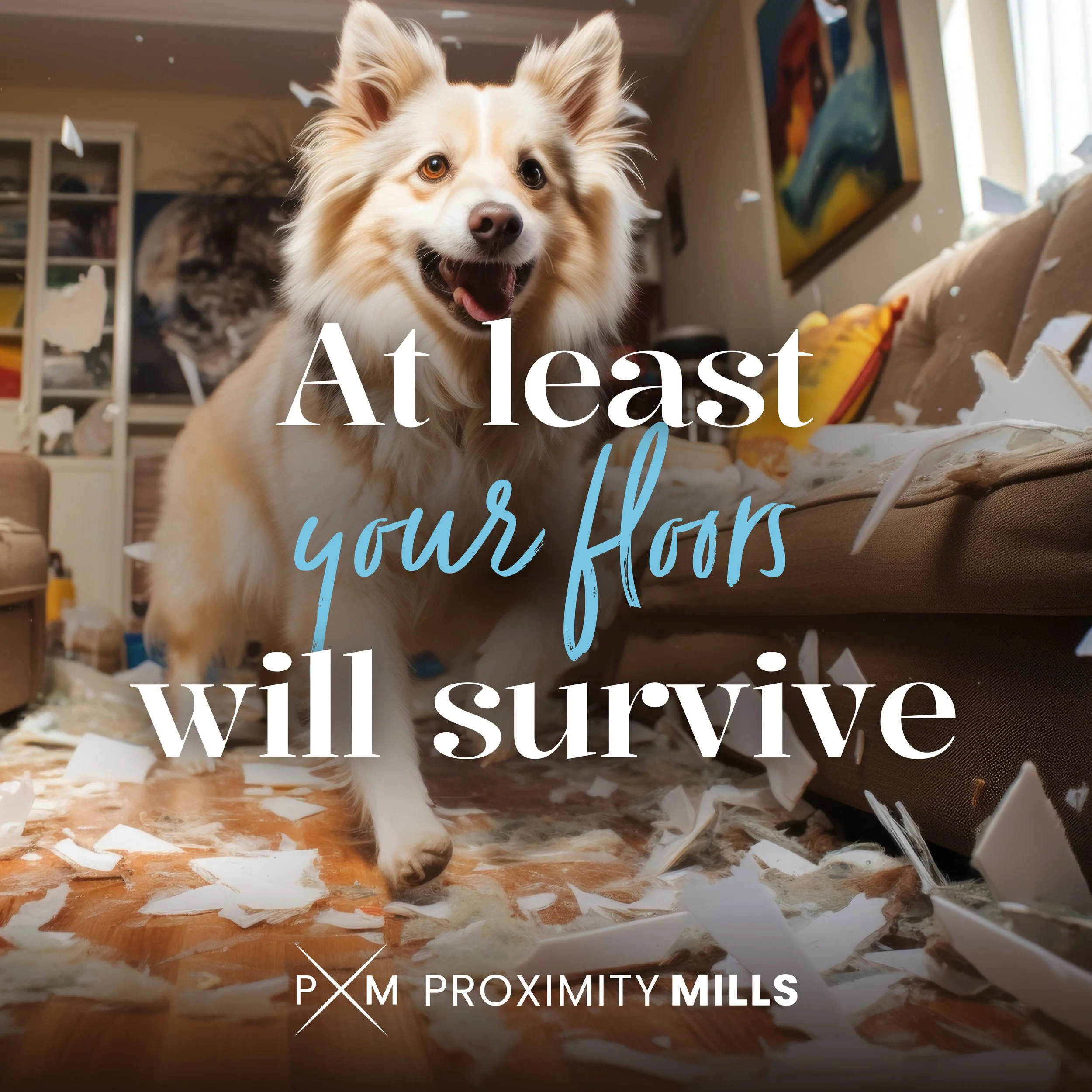 Proximity Mills | Social Media | Instagram | Survive scratches