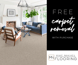 Humble Digital | Social Media Ads | Instagram | Free carpet removal