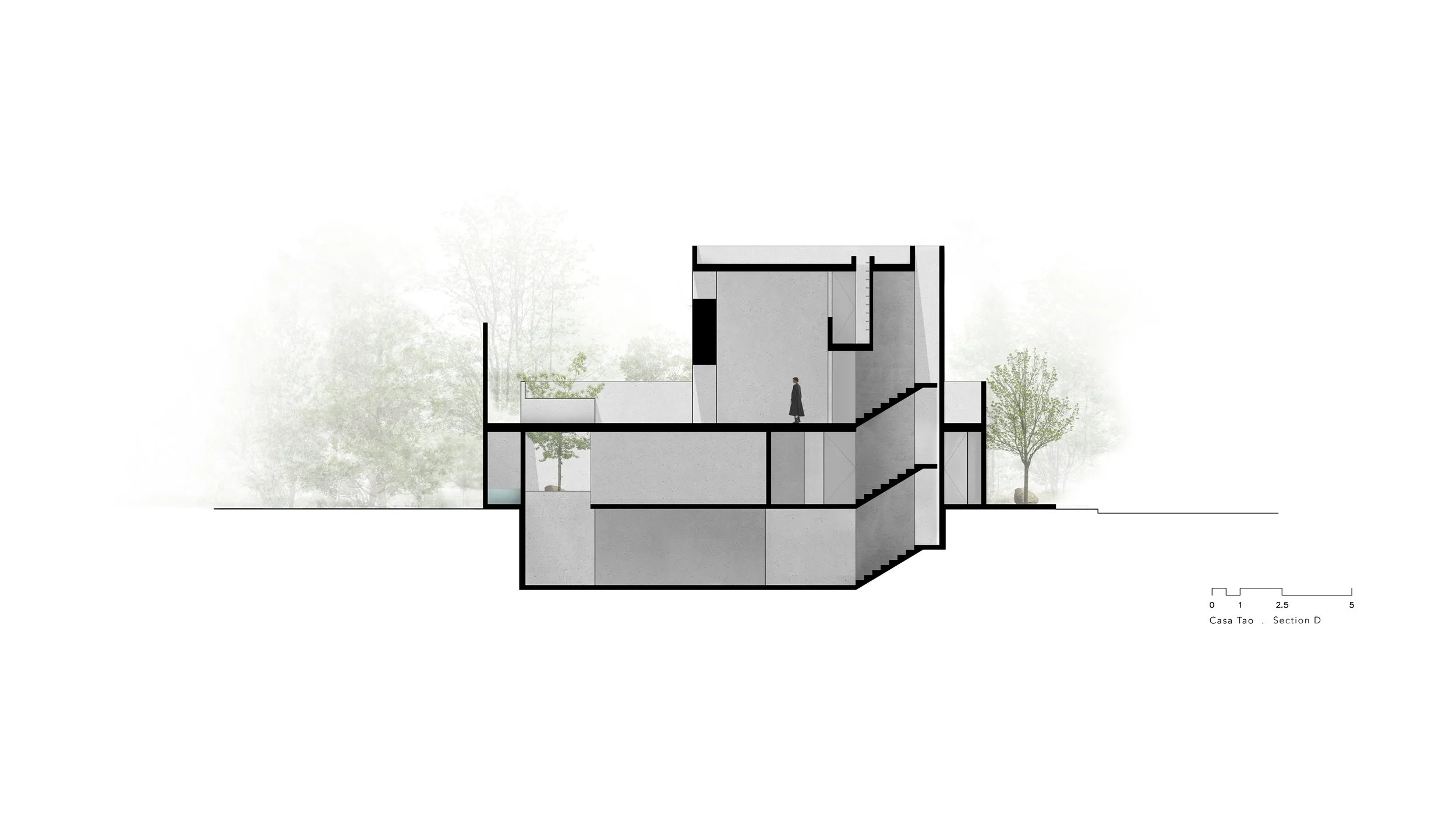 11. Sección D I Section D.jpg