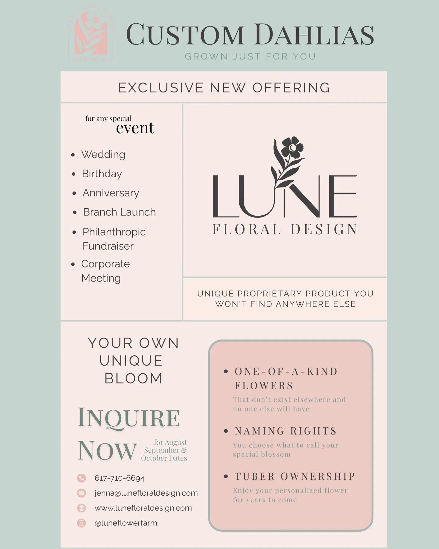 Are you celebrating in August, September or October of 2026 or 2027? 
Let me know!! ✨