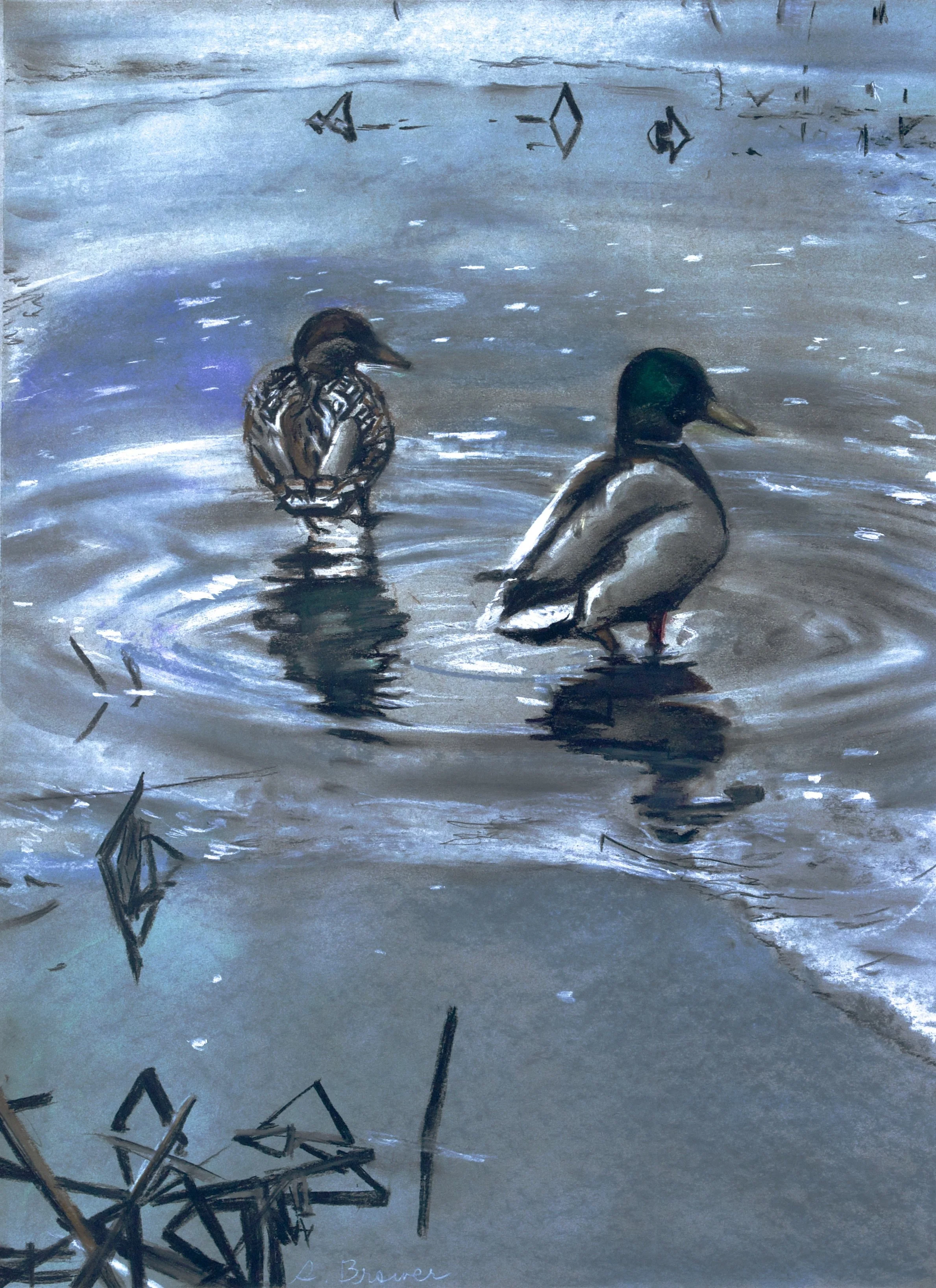 RBrower- You and Me (Pair of Ducks).jpeg
