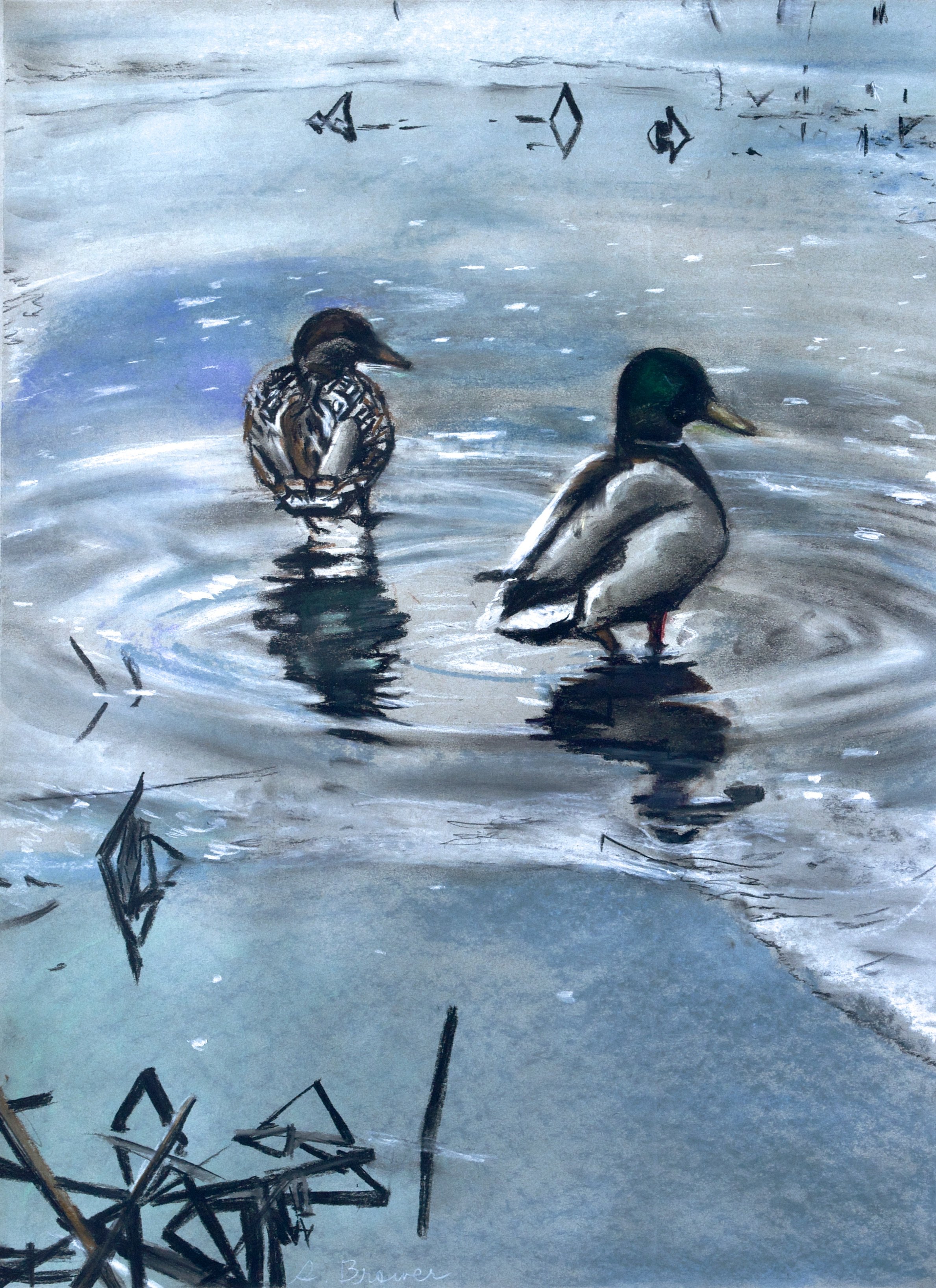 You and Me (Pair of Ducks), 2024, Chalk Pastels, 24” x 18”
