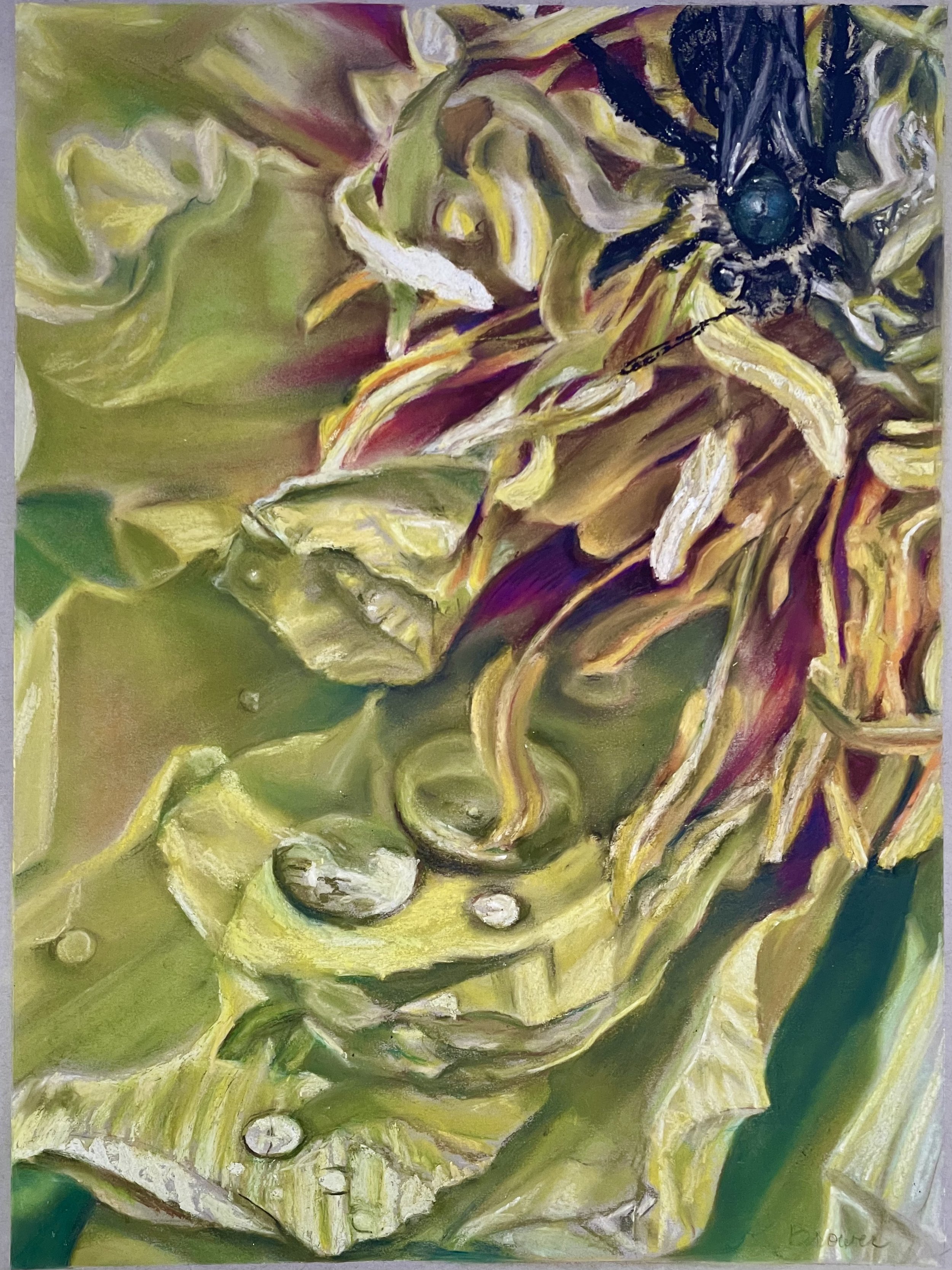 Bee on a Yellow Peony, 2024, Chalk Pastels, 24” x 18”