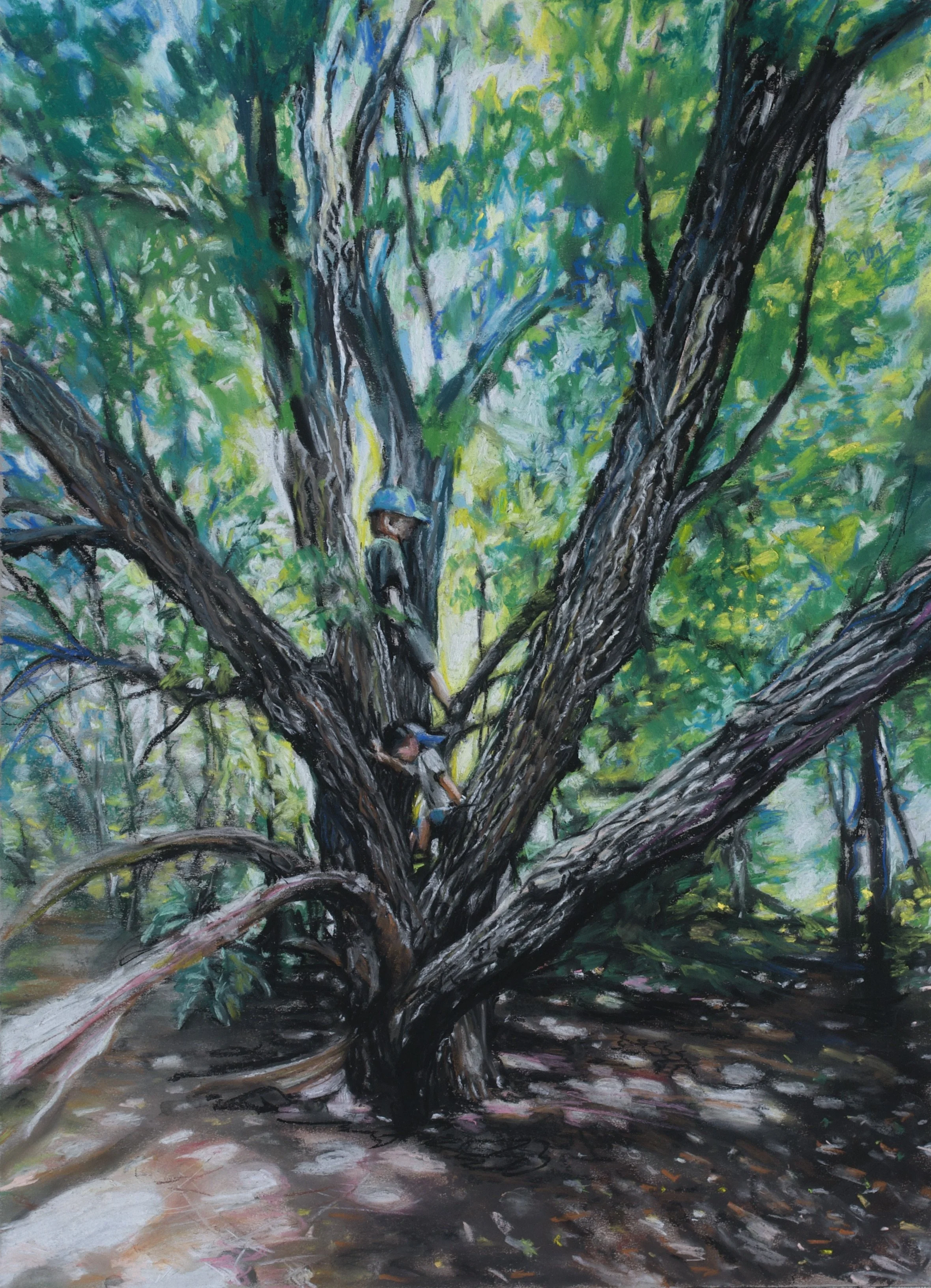 RBrower- Favorite Tree.jpeg
