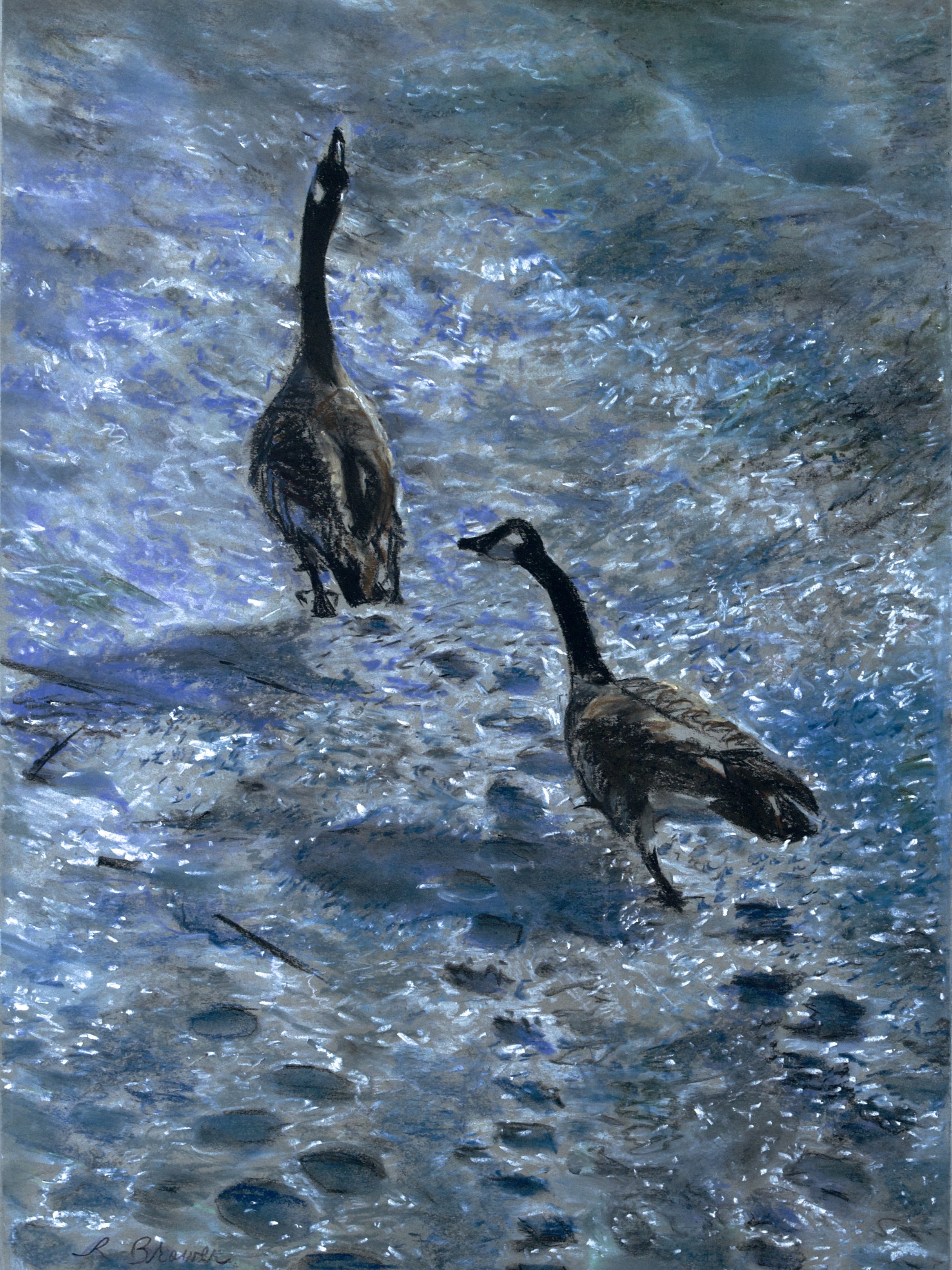 Pair of Geese, 2024, Chalk Pastels, 24” x 18”