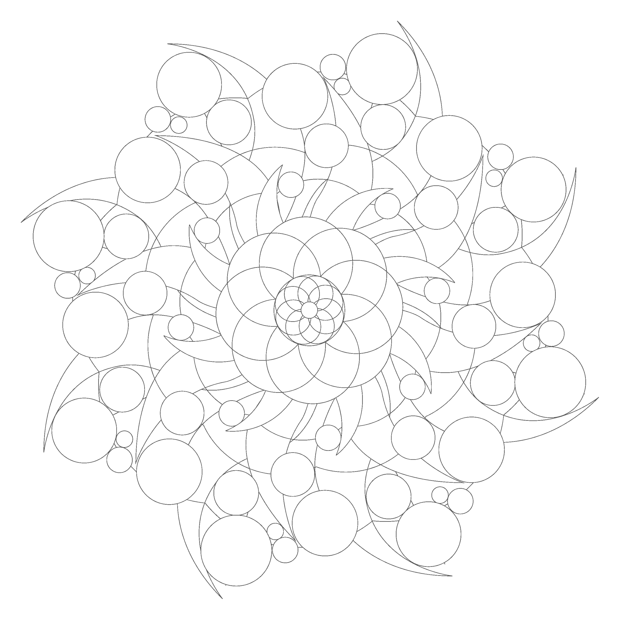 Astralotus Line Drawing