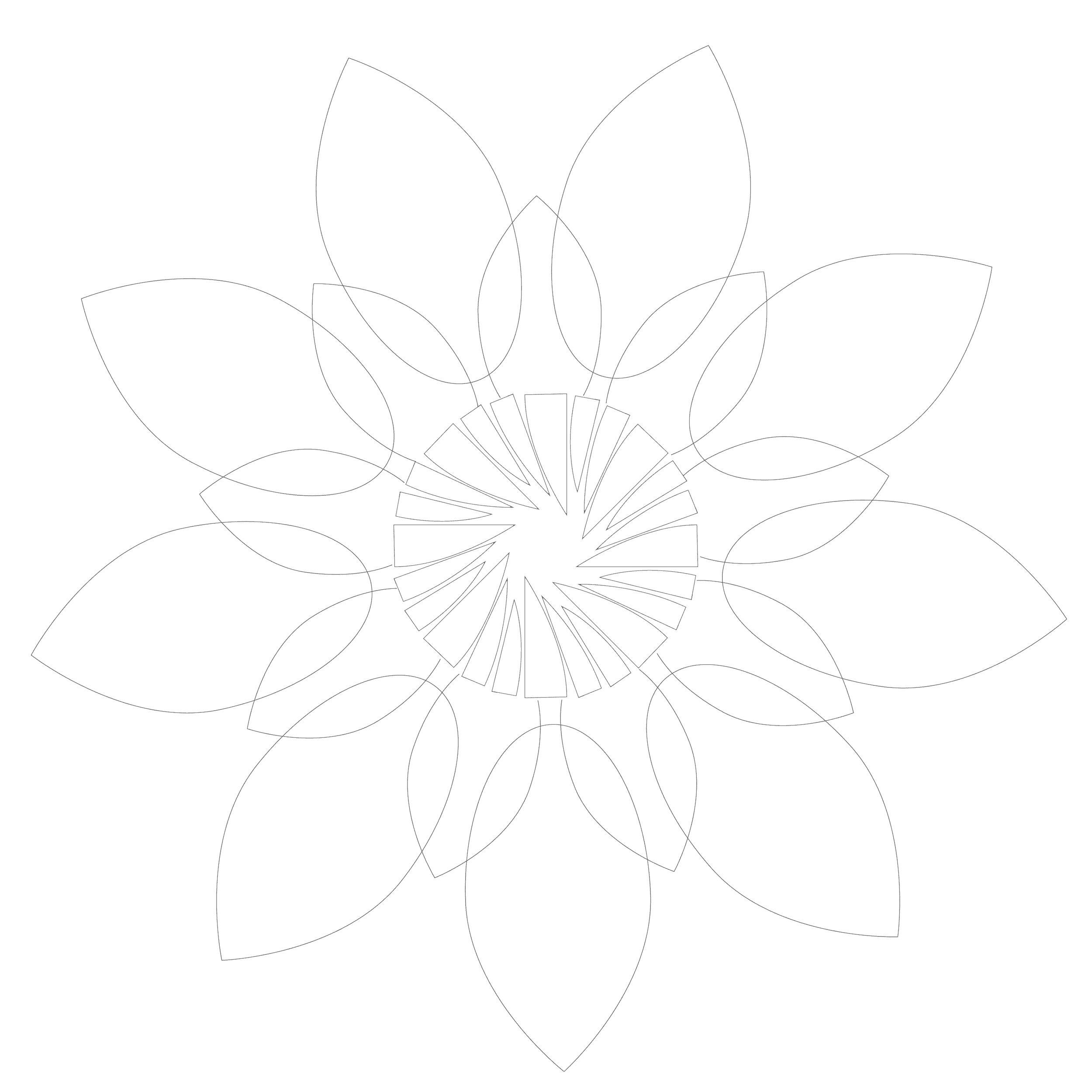 Sunflower_darkgrayoutline.png