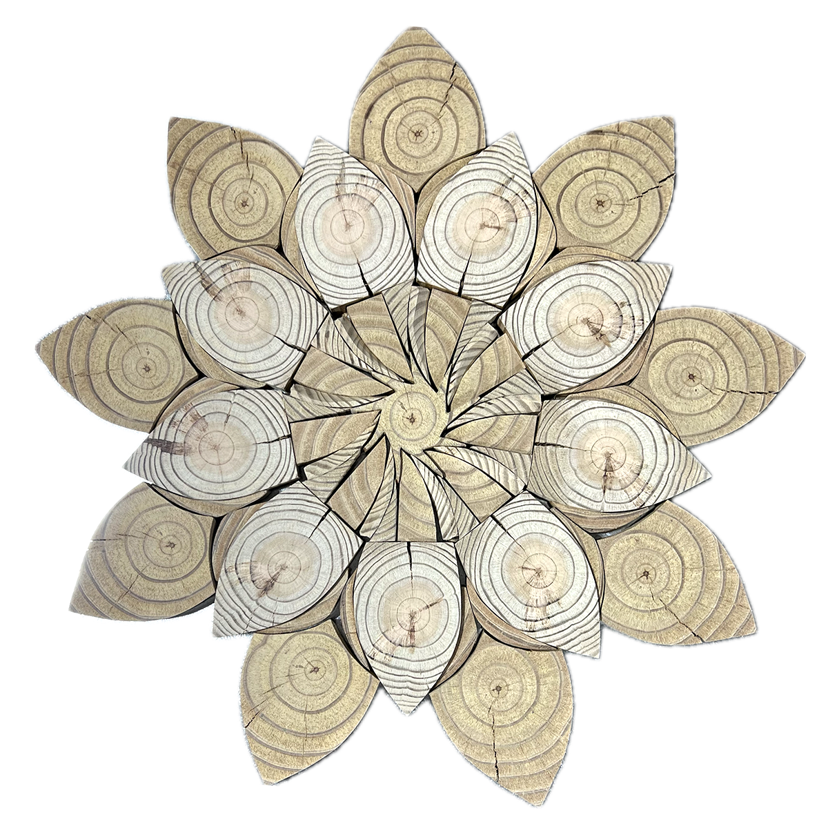 Sunflower Cedar Mandala
