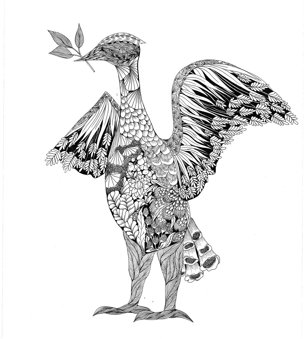 Liverbird Print