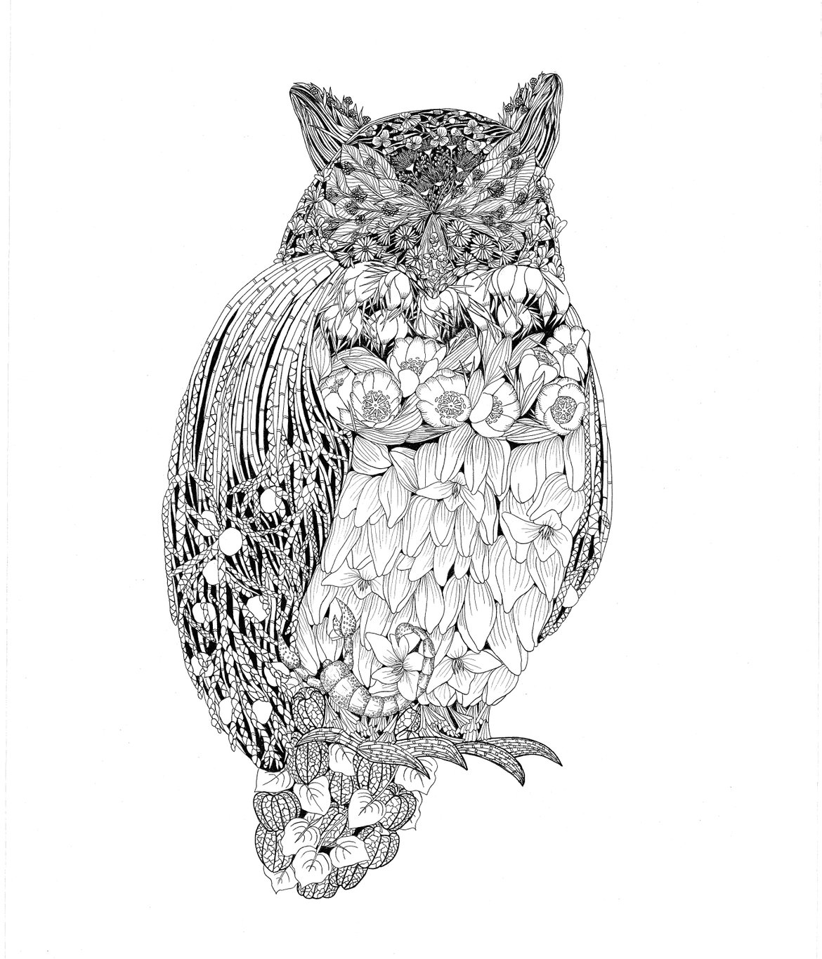 Great Horned Owl Print