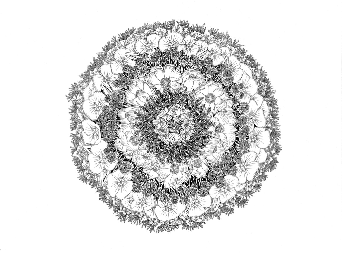 Desert Mandala Print